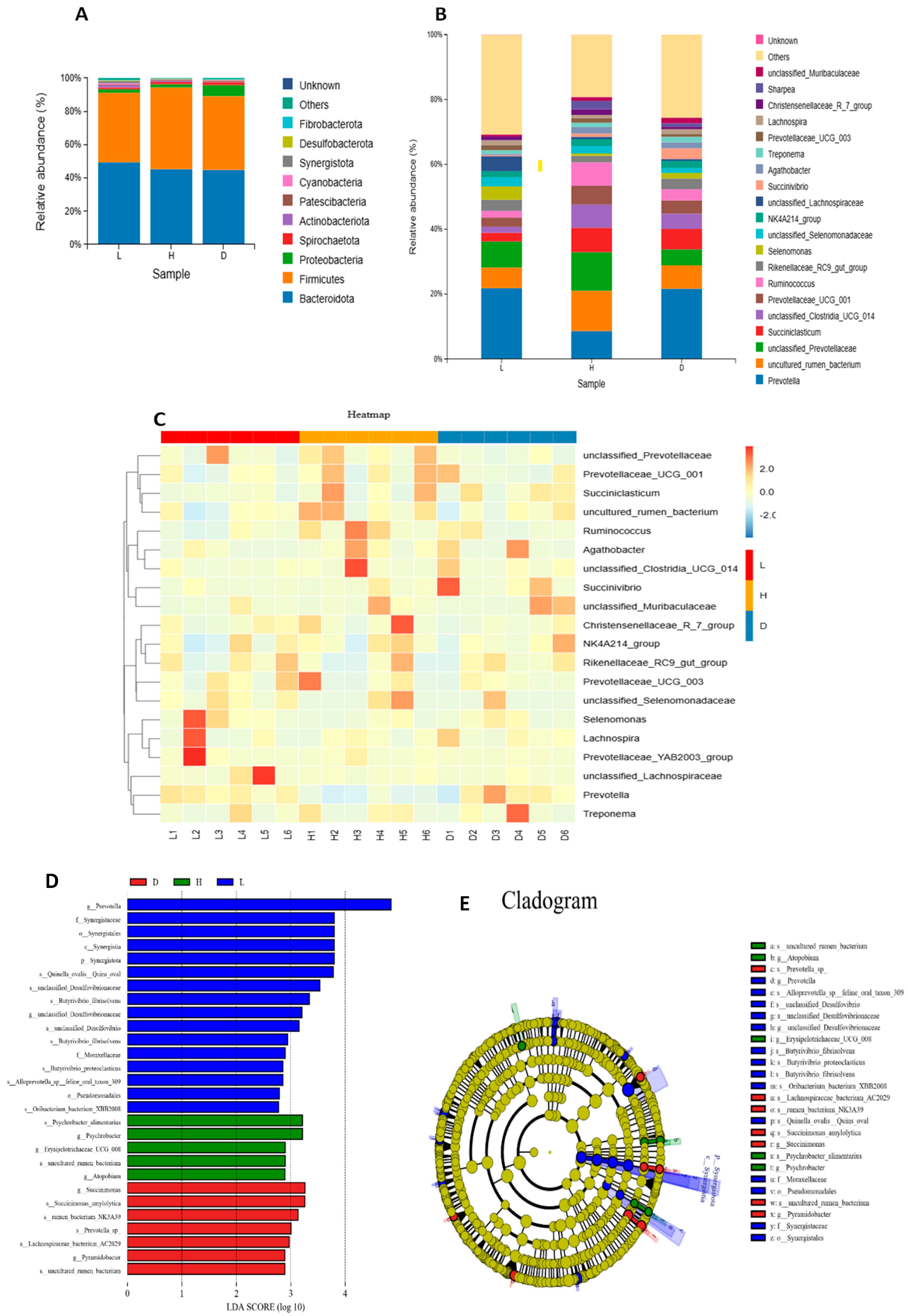 Vetsci 13 00028 g004