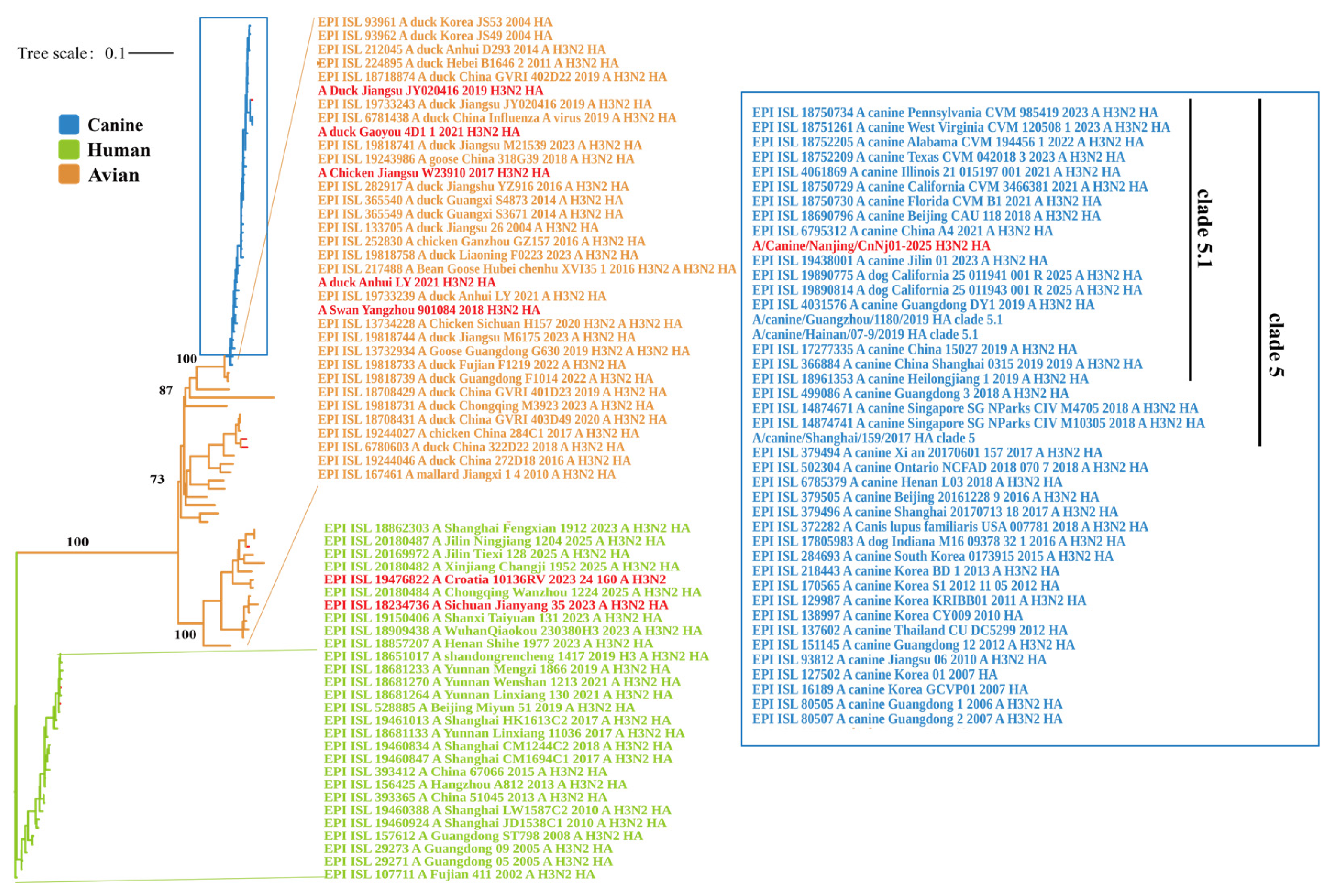 Vetsci 13 00032 g001