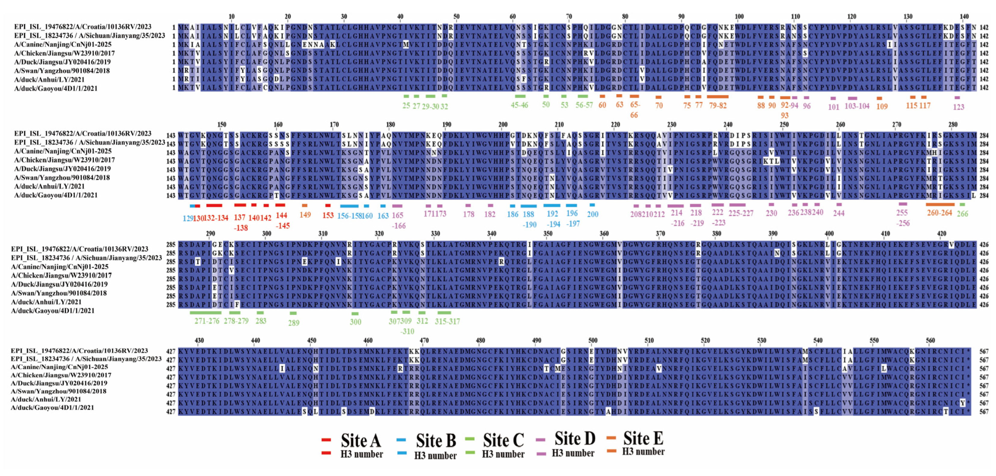 Vetsci 13 00032 g002