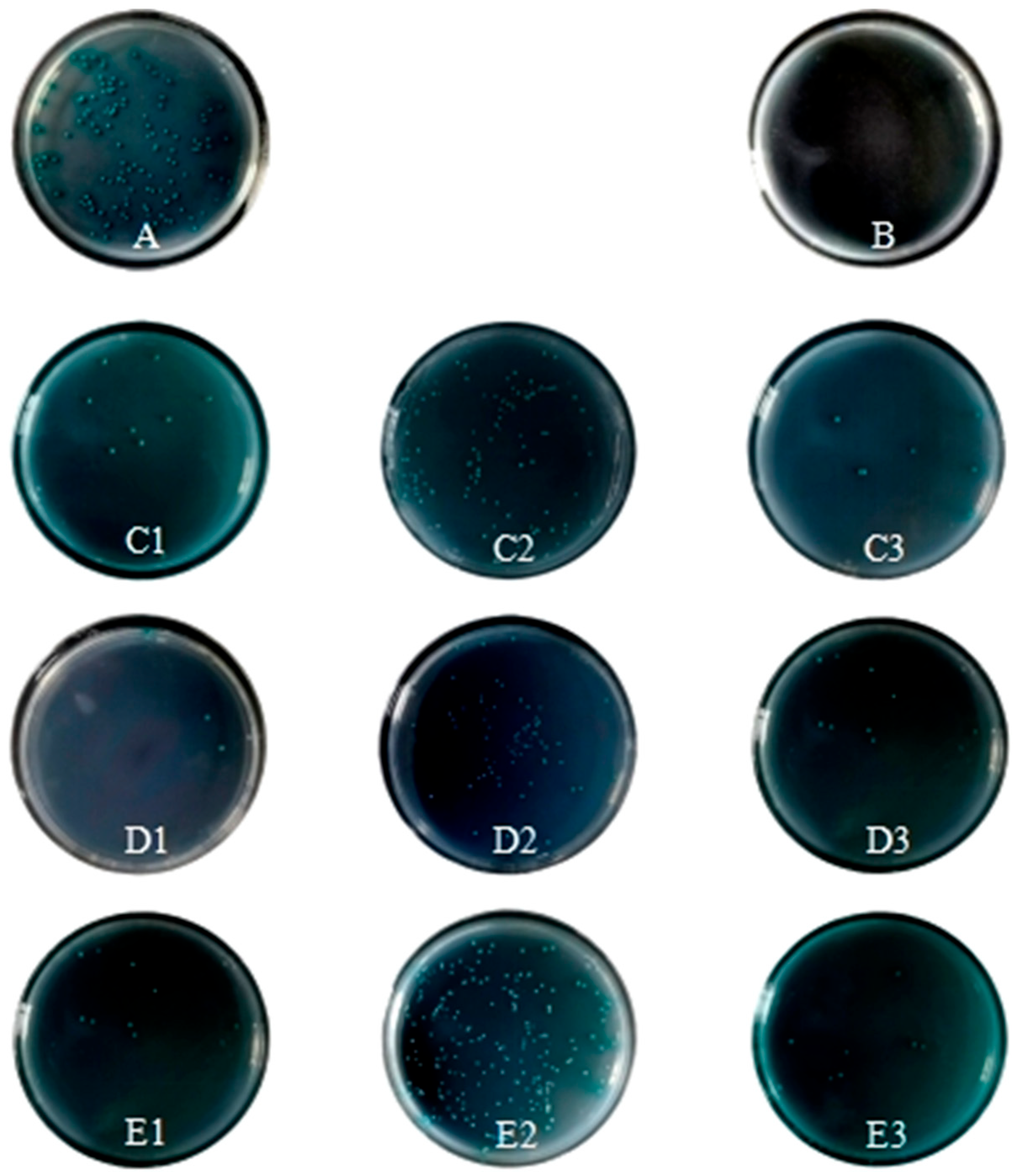 Vetsci 13 00033 g004 Vetsci 13 00033 g004