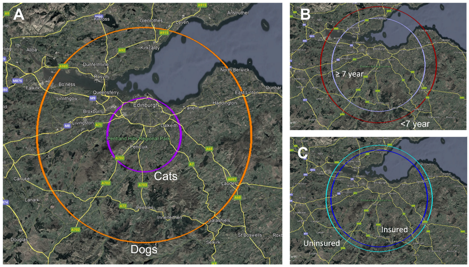 Vetsci 13 00034 g001