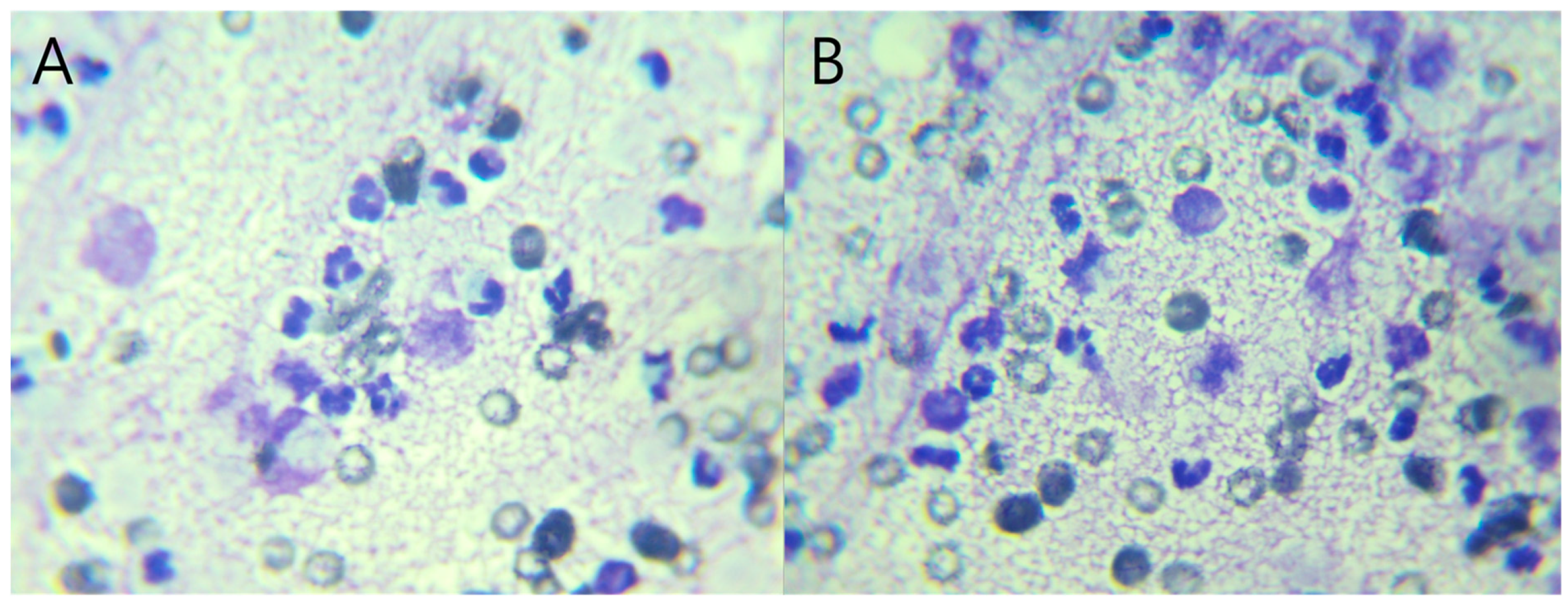 Vetsci 13 00037 g002