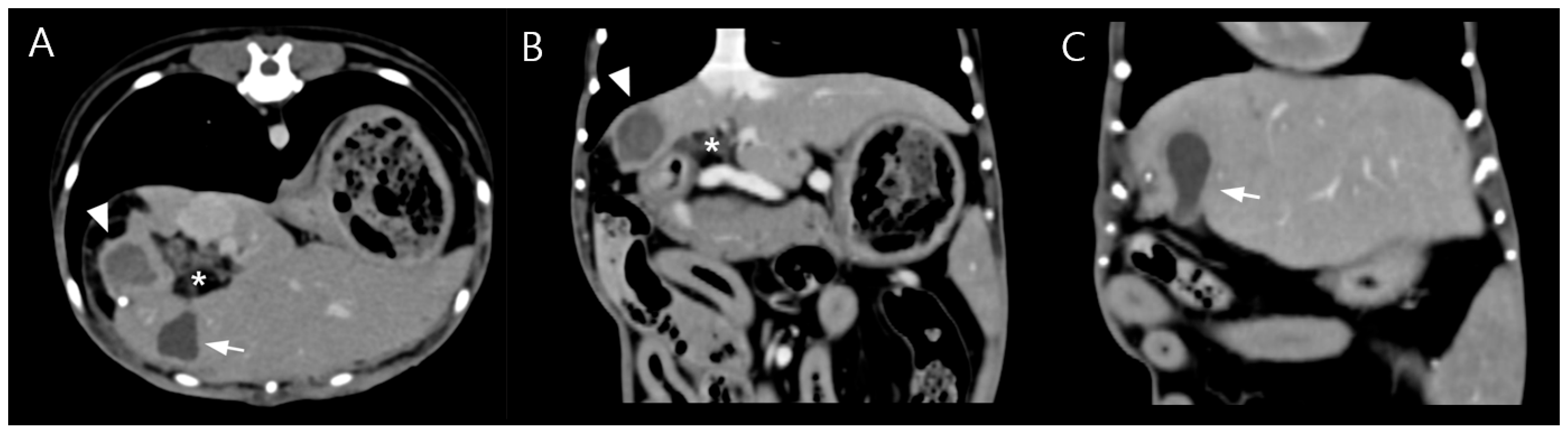 Vetsci 13 00037 g003