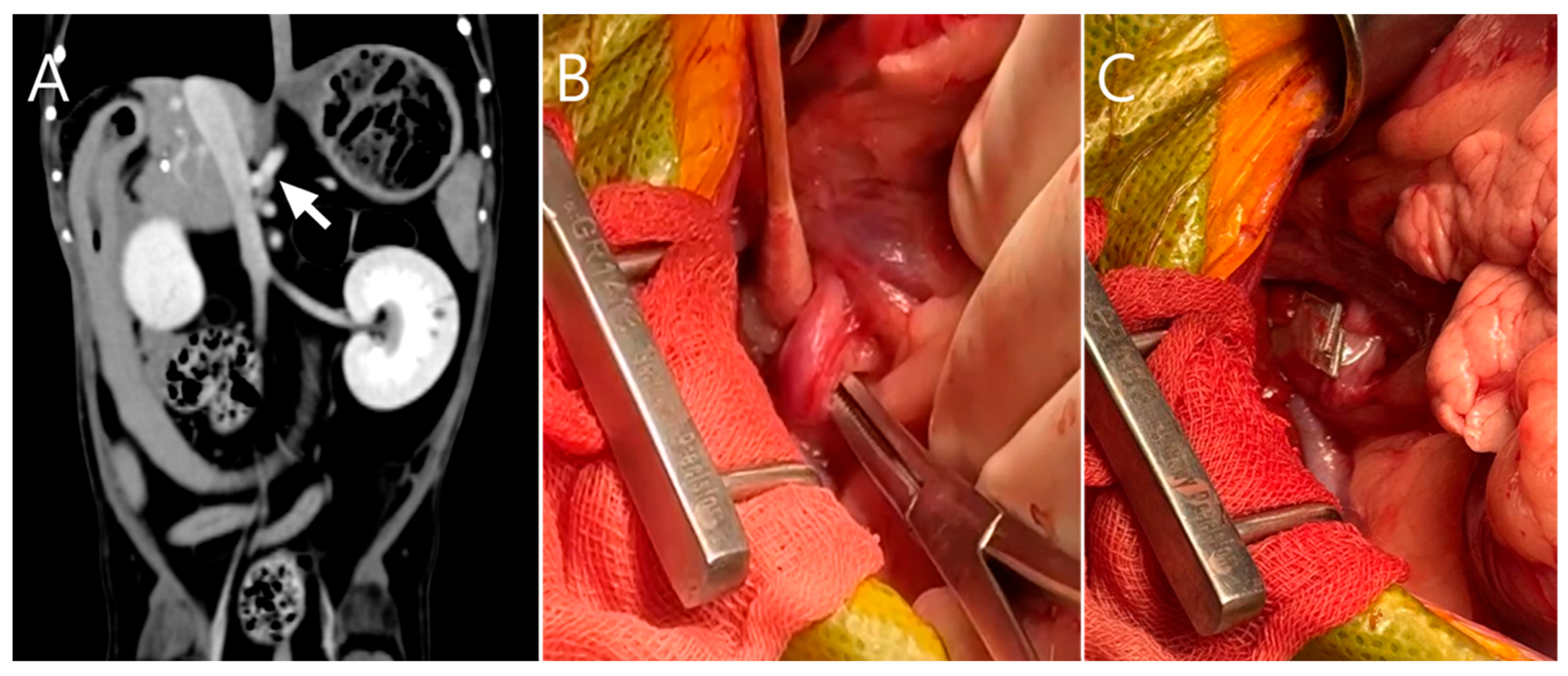 Vetsci 13 00037 g005