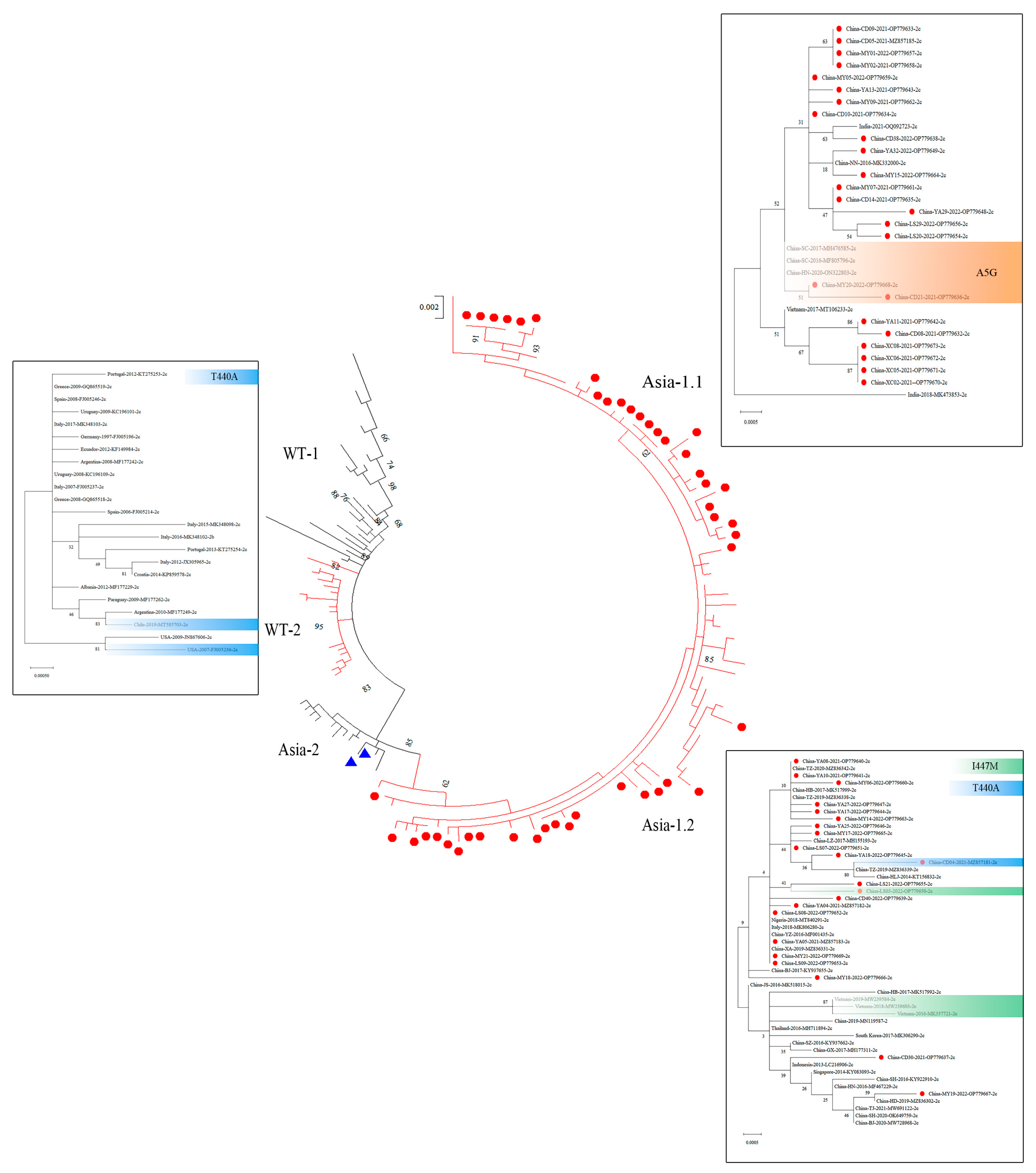 Vetsci 13 00041 g003