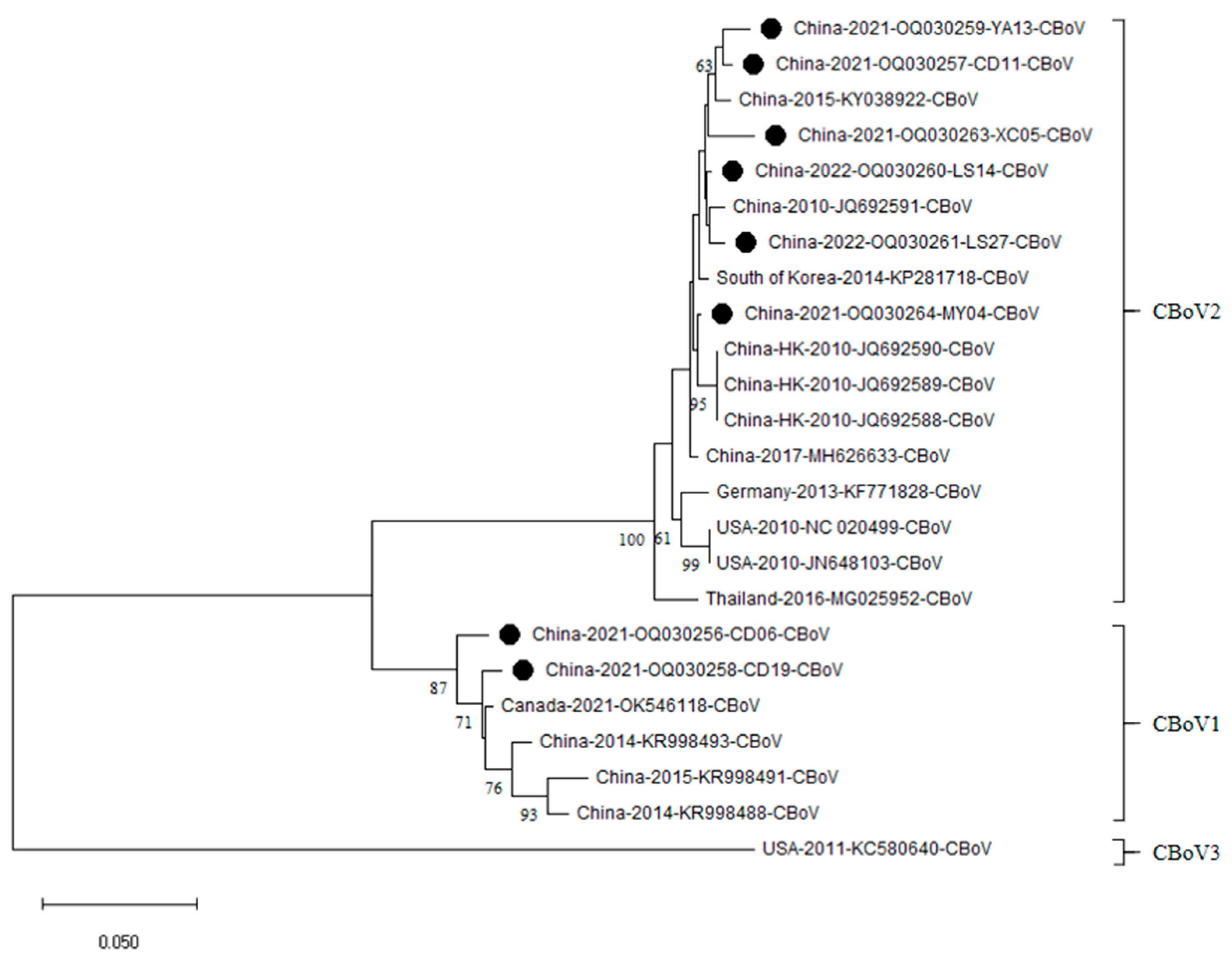Vetsci 13 00041 g004