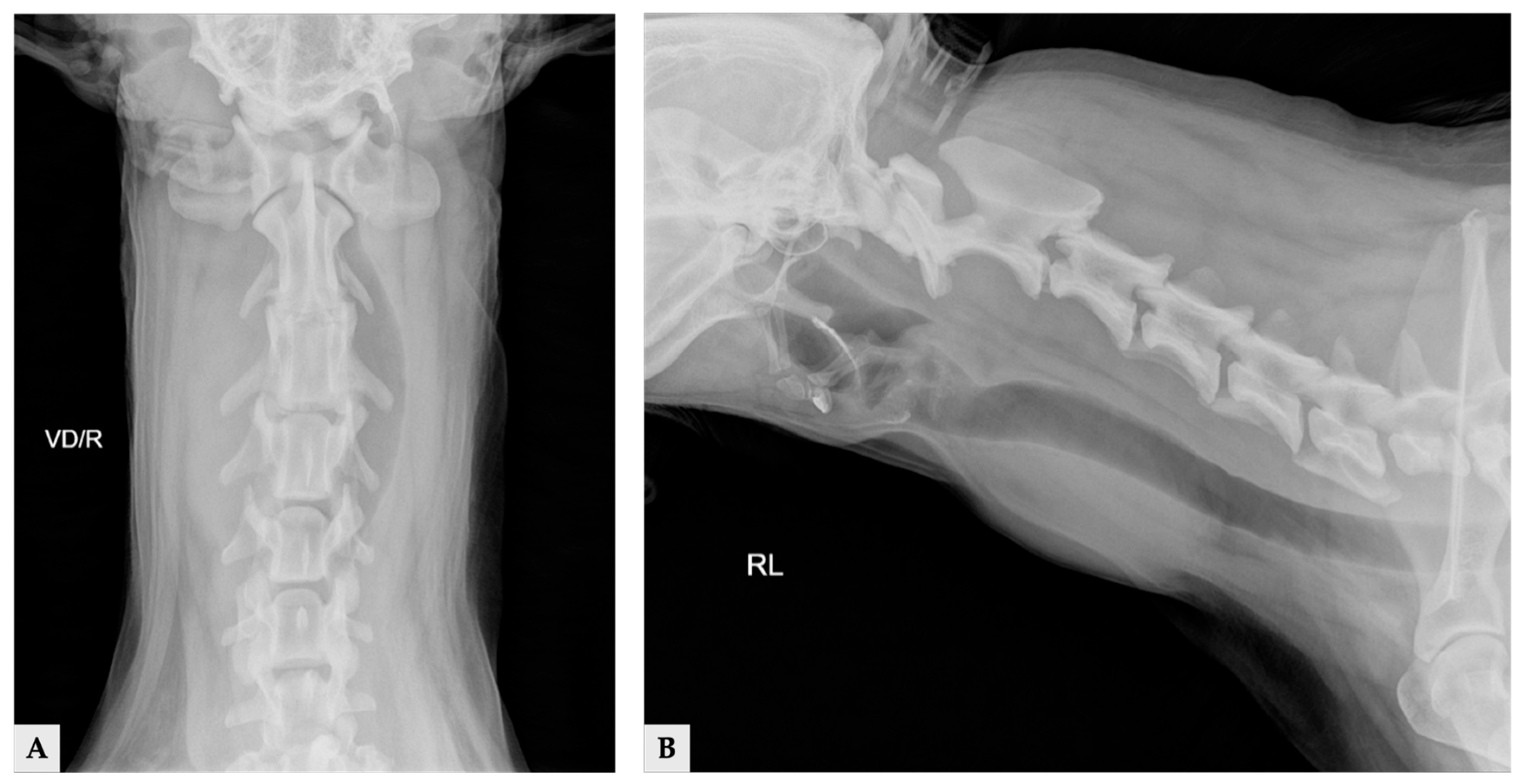 Vetsci 13 00043 g001 Vetsci 13 00043 g001