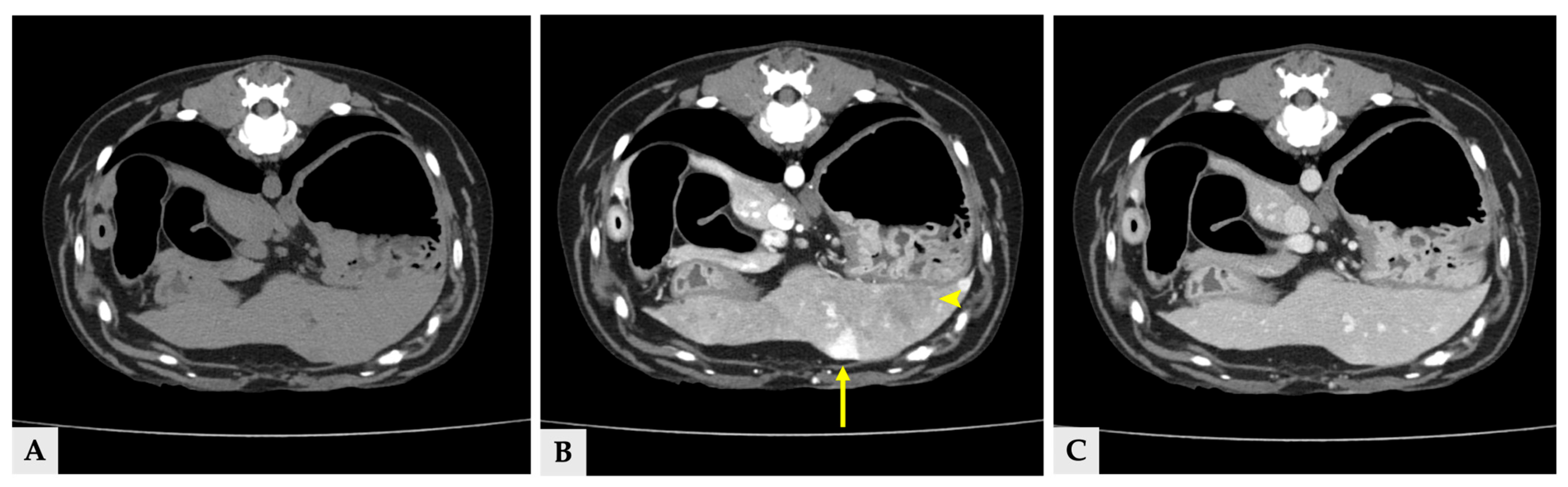 Vetsci 13 00043 g003 Vetsci 13 00043 g003