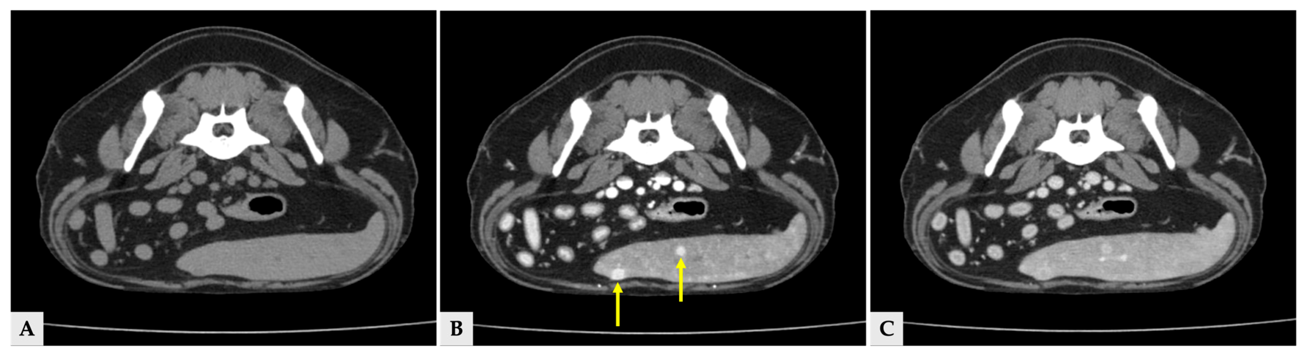 Vetsci 13 00043 g004 Vetsci 13 00043 g004