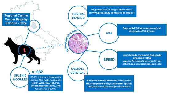 Epidemiology of Splenic Lesions in Dogs Undergoing Splenectomy ...