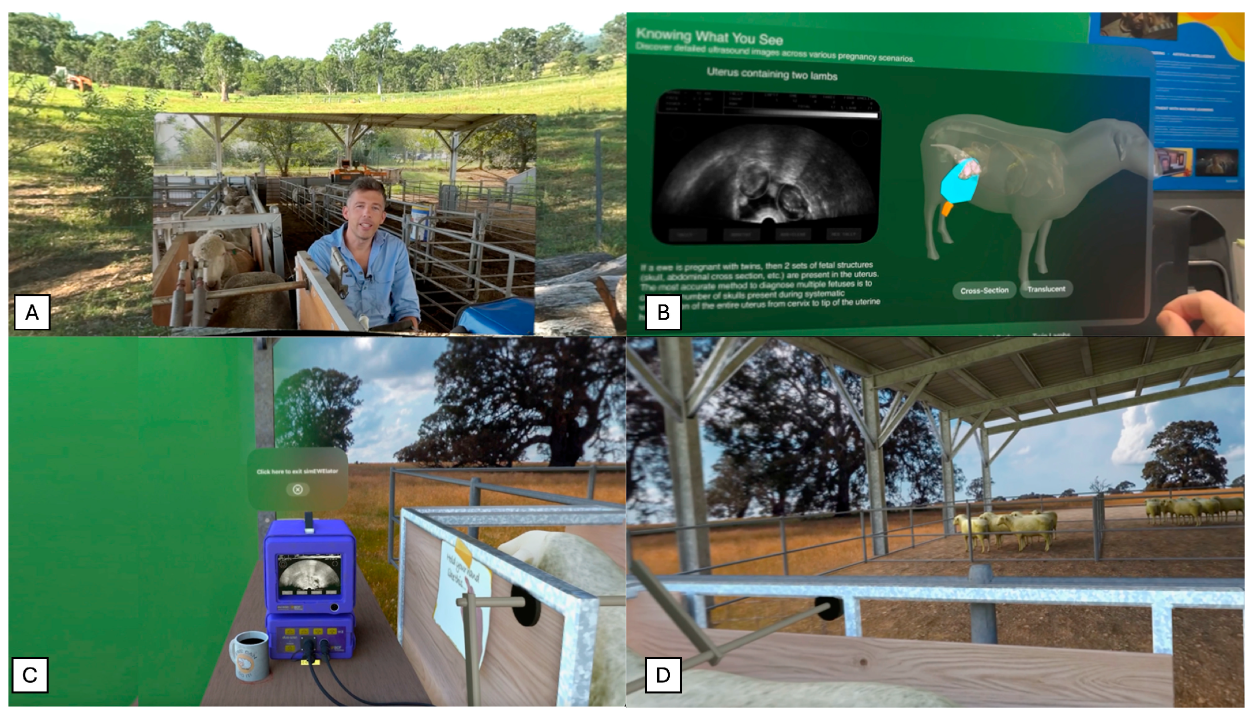 Vetsci 13 00080 g001