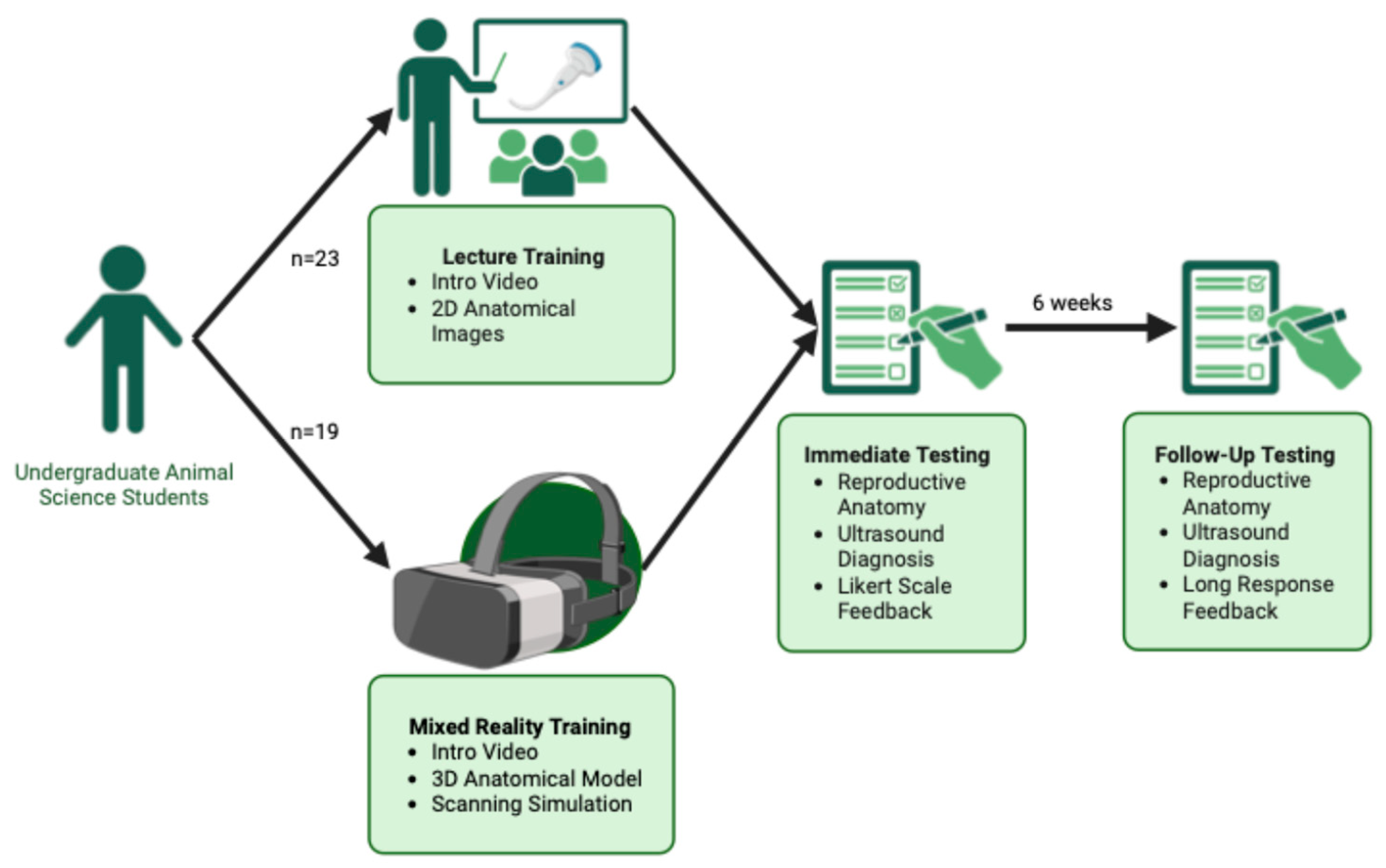 Vetsci 13 00080 g002