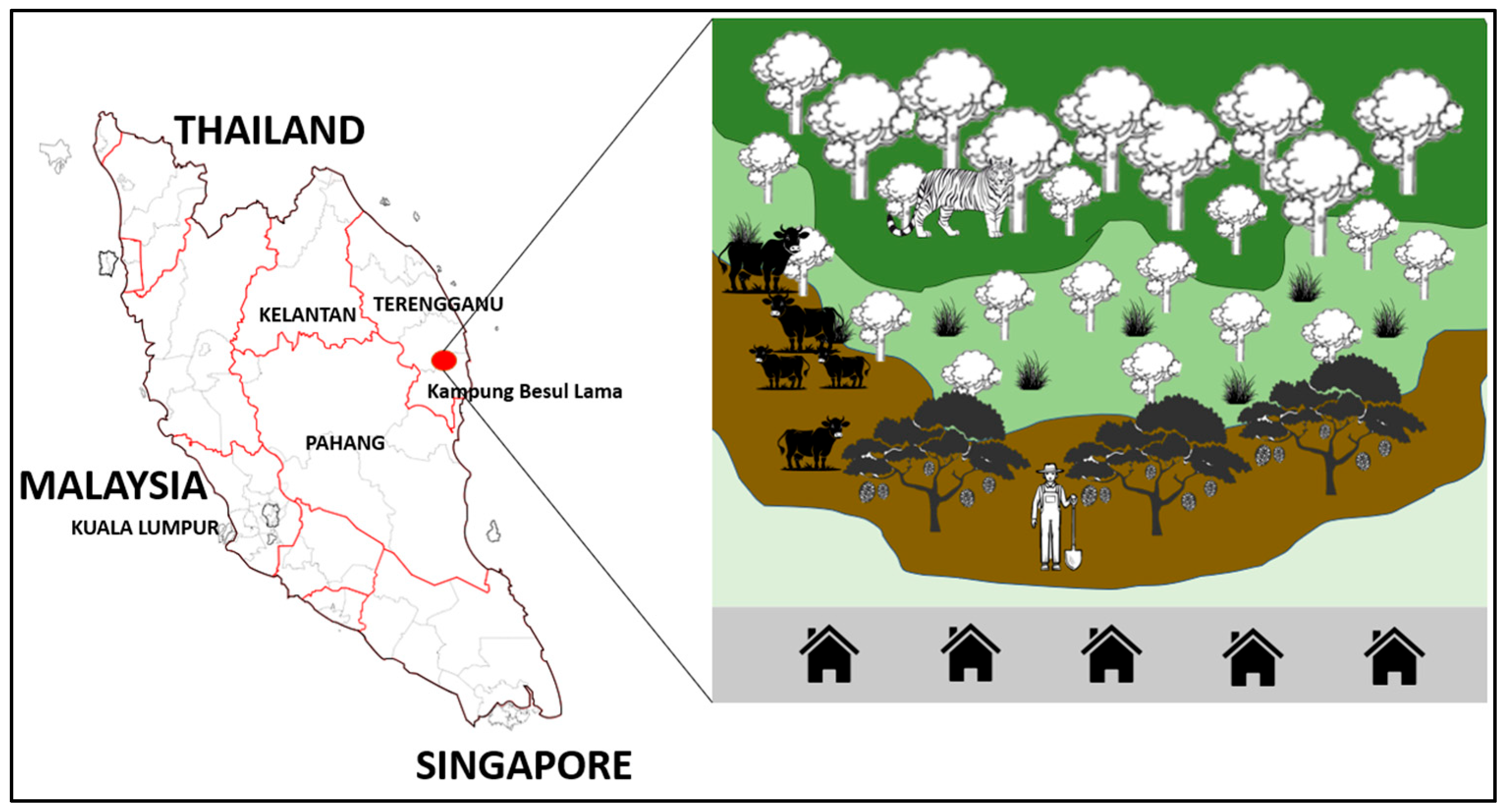 Vetsci 13 00083 g001