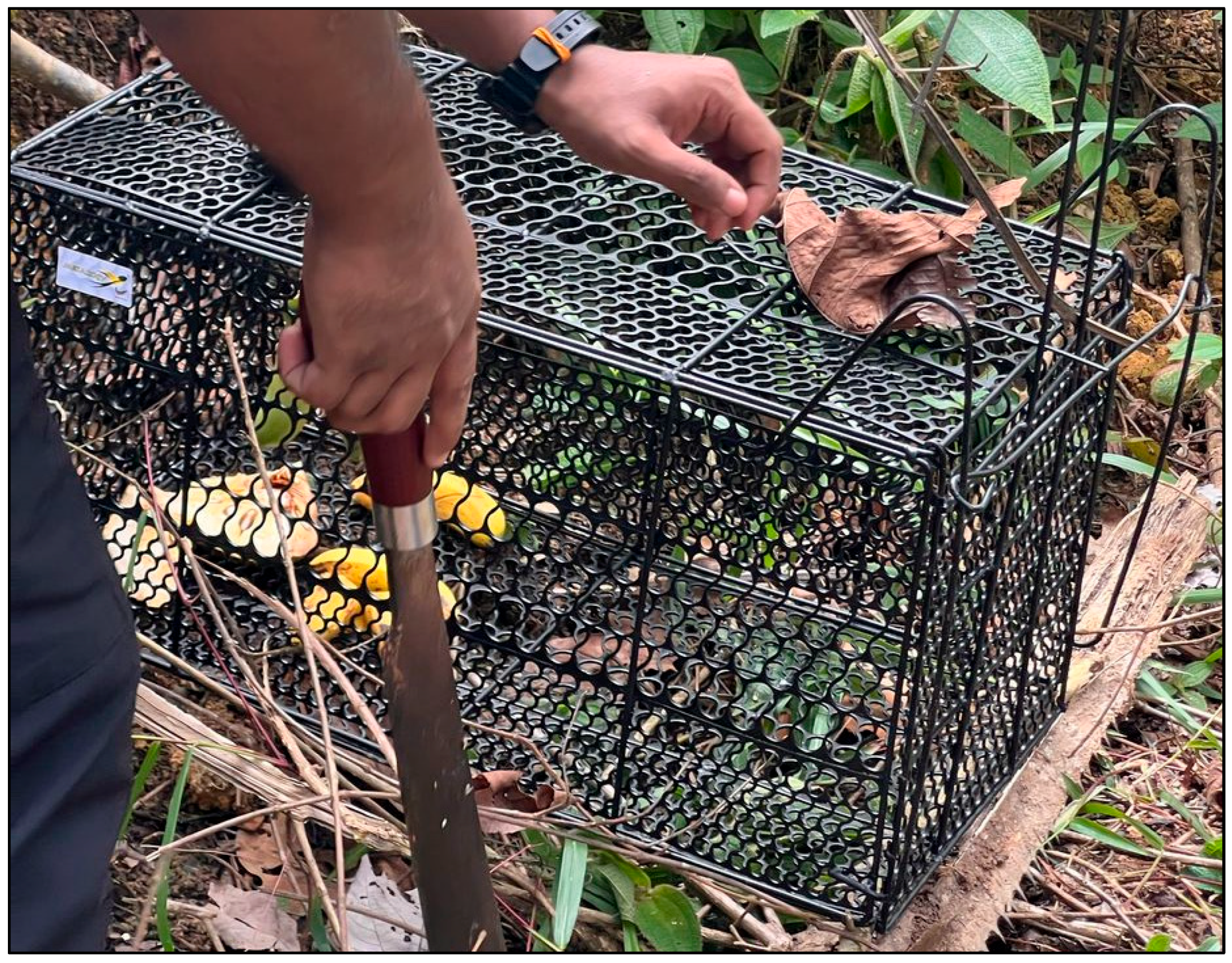 Vetsci 13 00083 g002