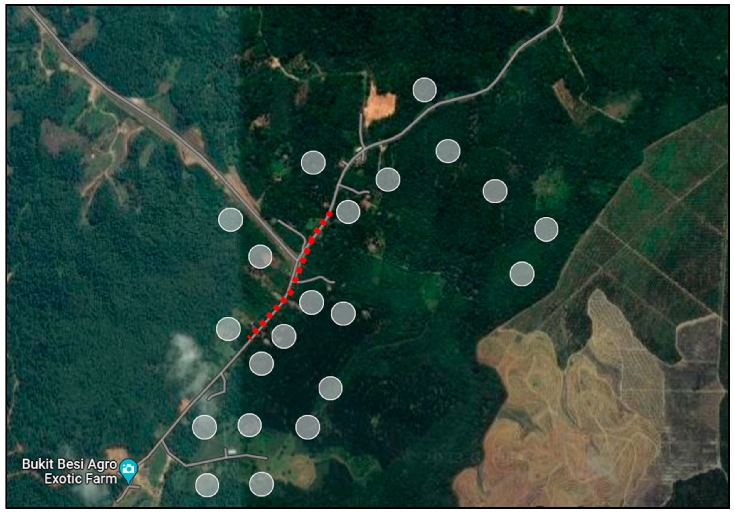 Vetsci 13 00083 g003