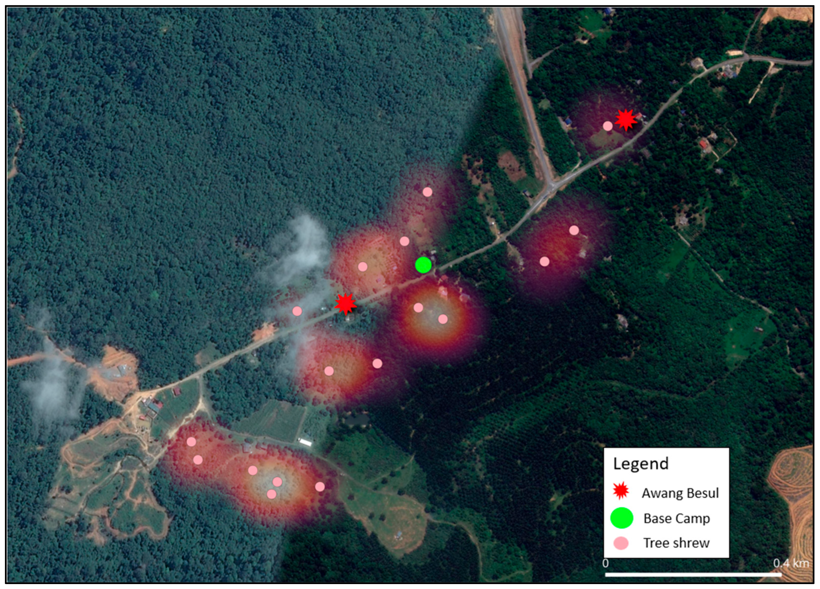 Vetsci 13 00083 g004