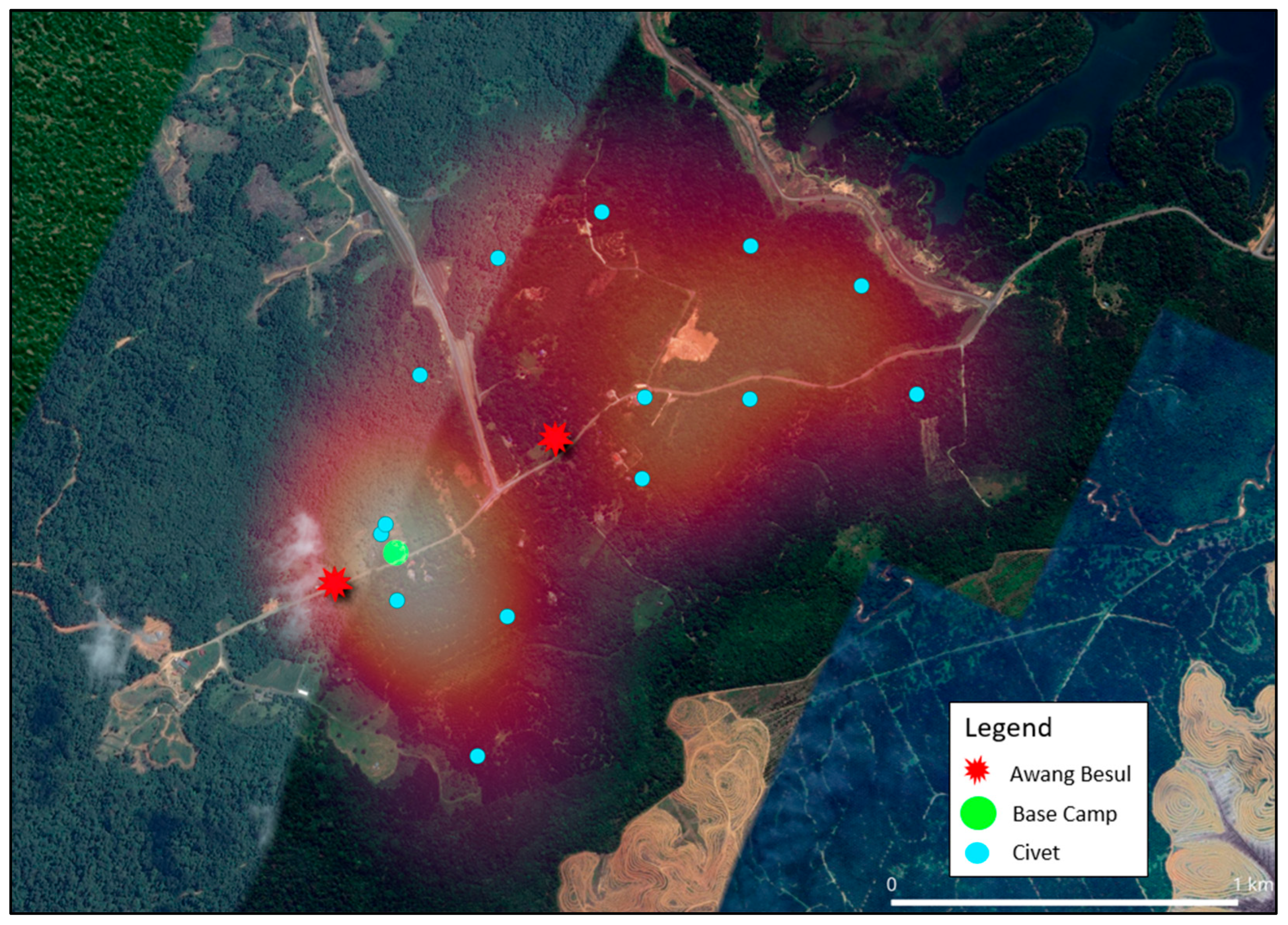 Vetsci 13 00083 g005