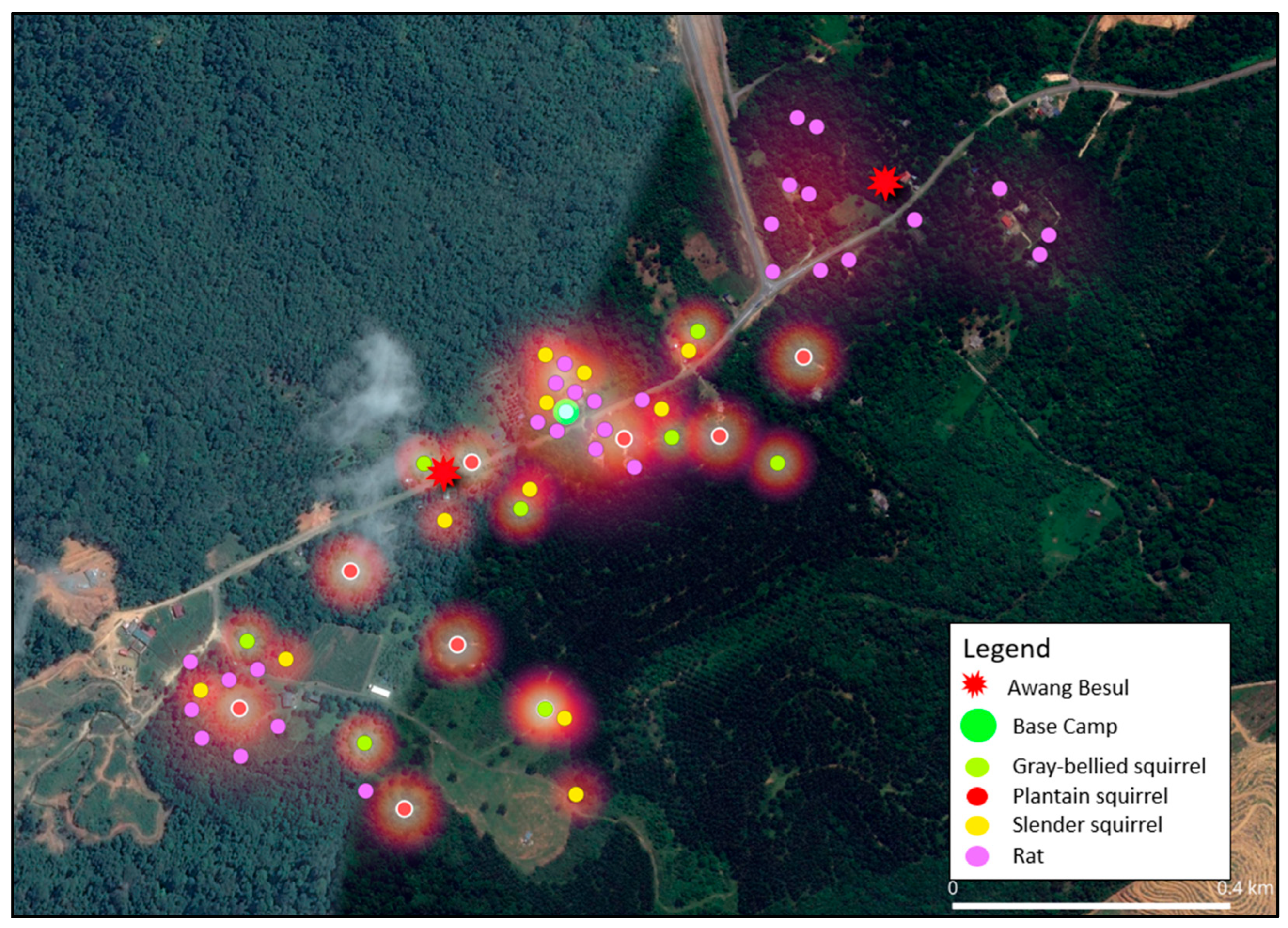 Vetsci 13 00083 g006