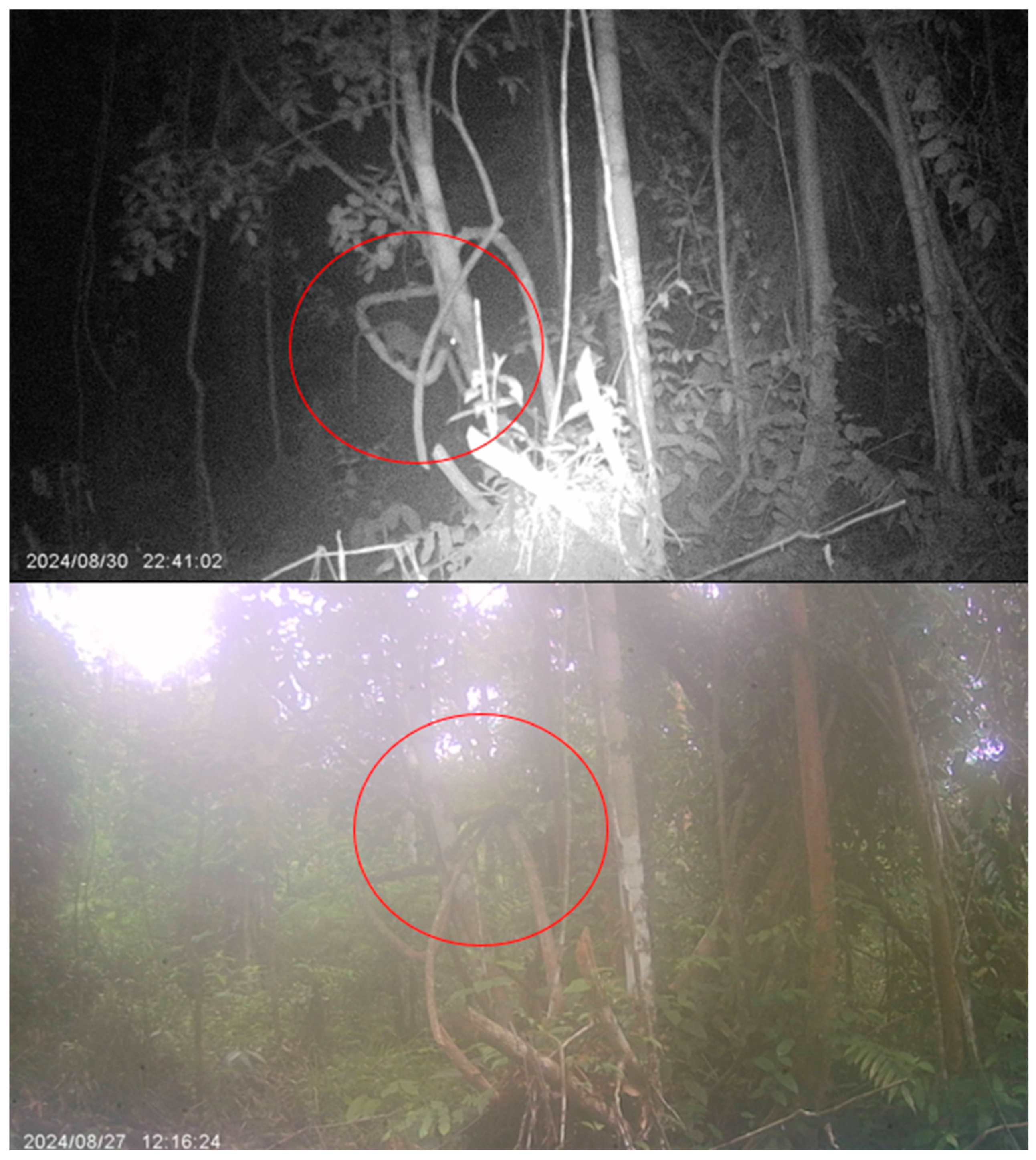 Vetsci 13 00083 g007