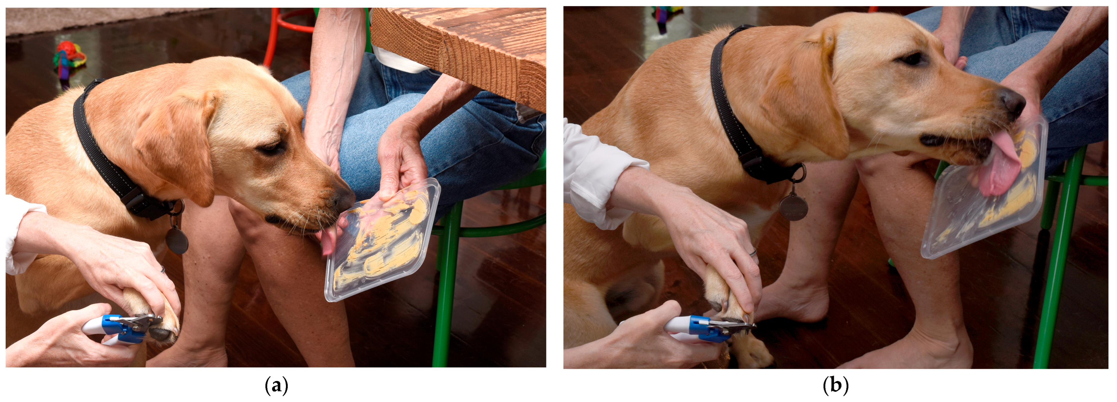 Vetsci 13 00115 g003