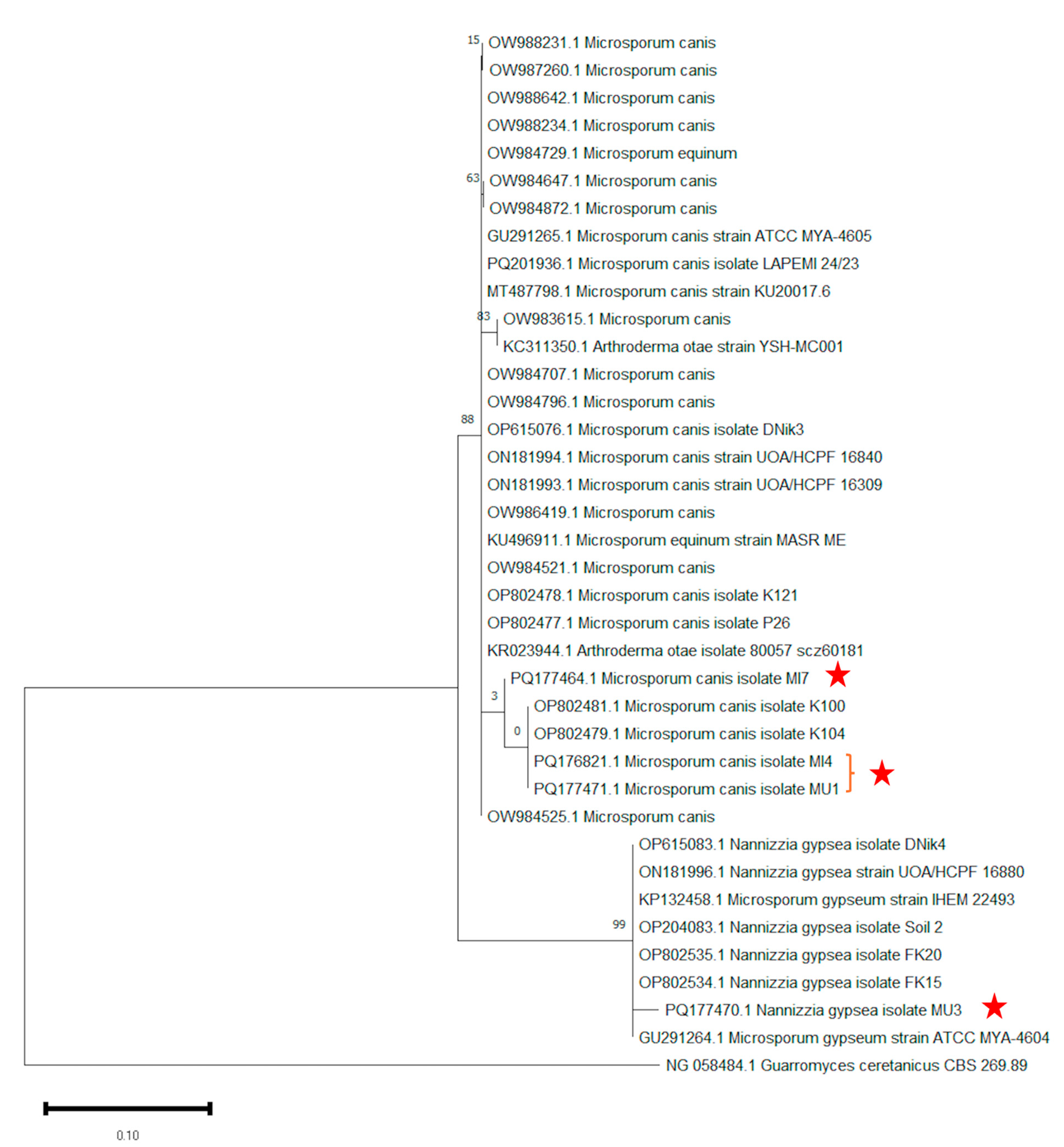 Vetsci 13 00136 g002