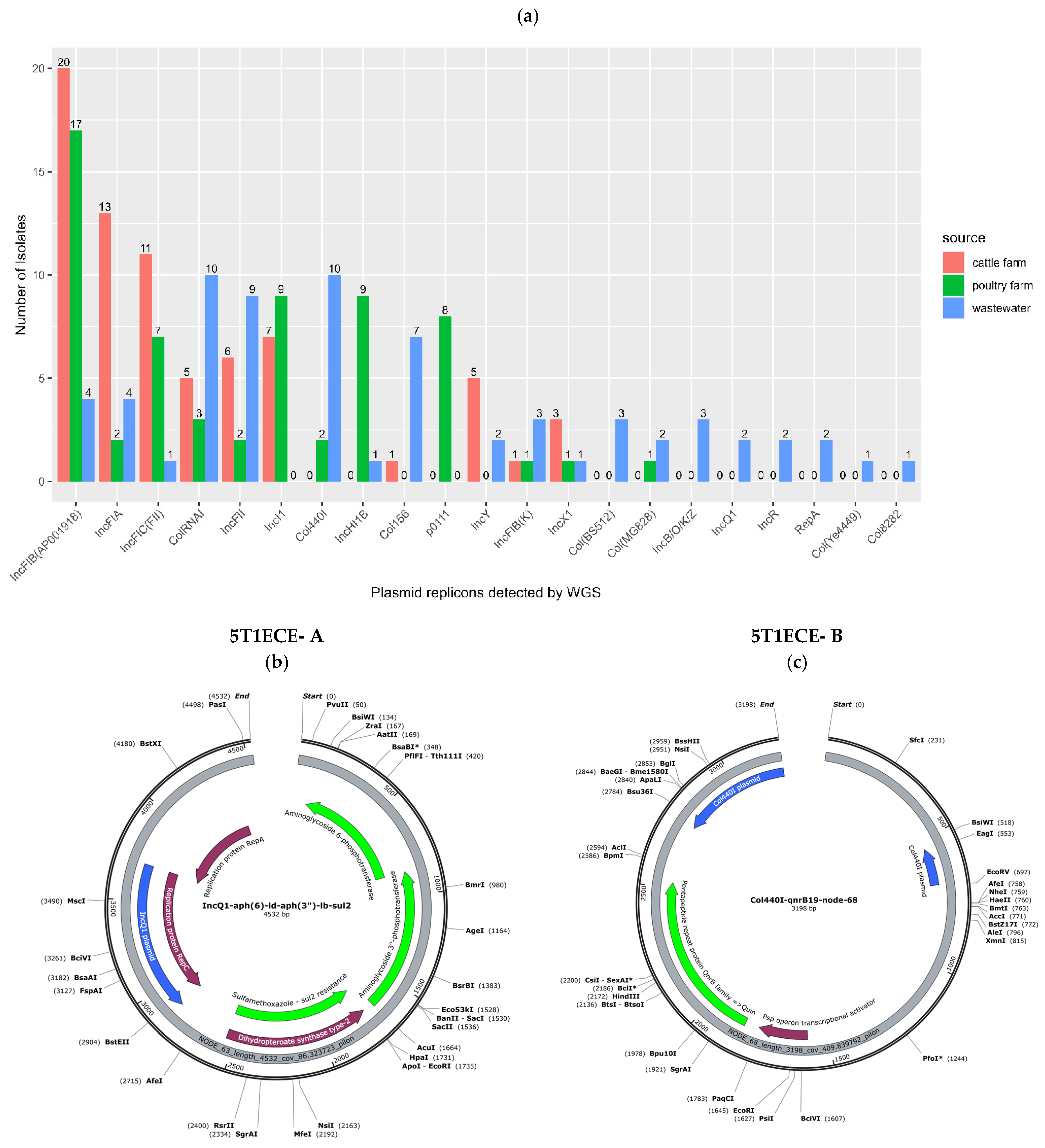 Vetsci 13 00138 g004a