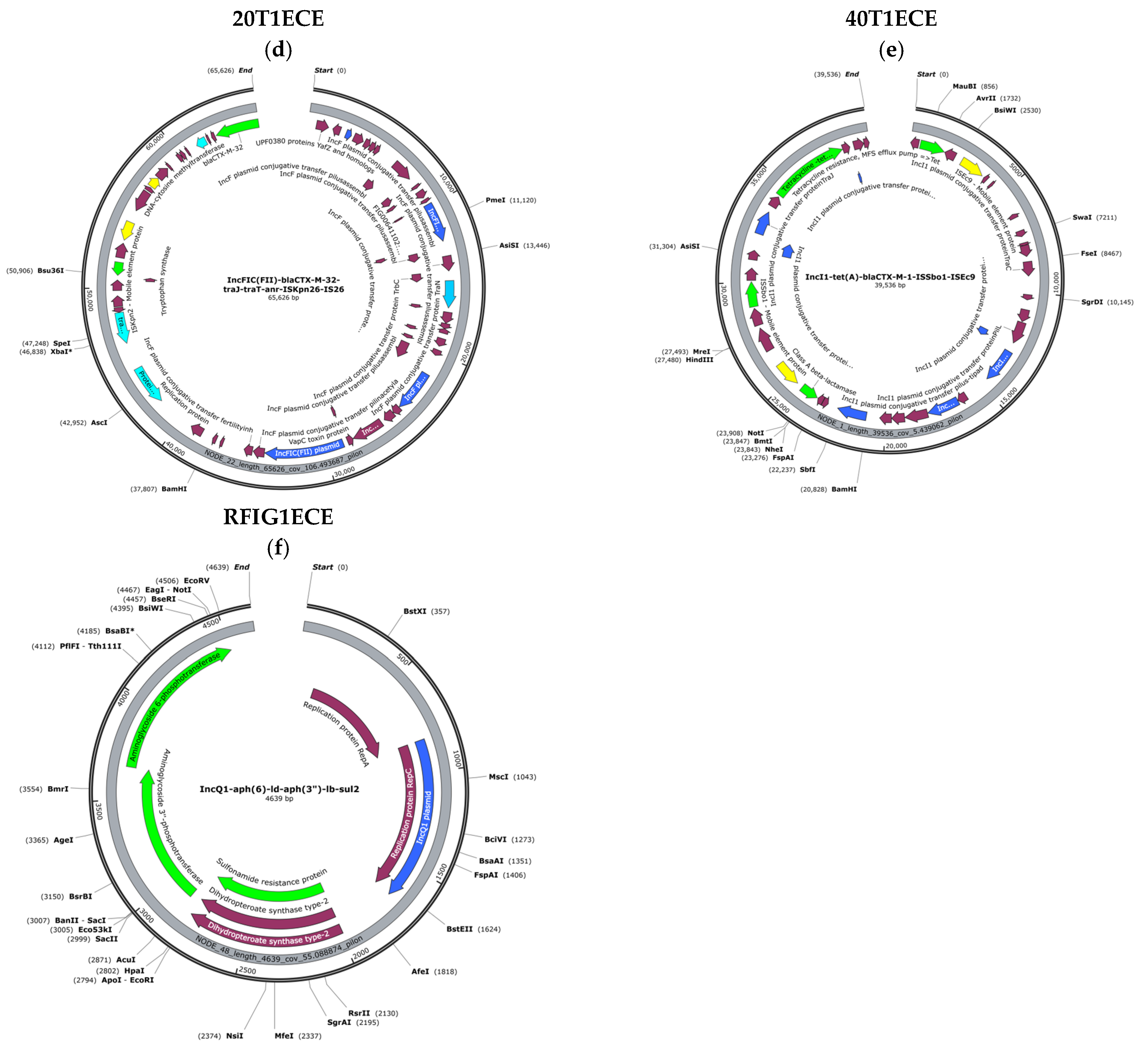 Vetsci 13 00138 g004b