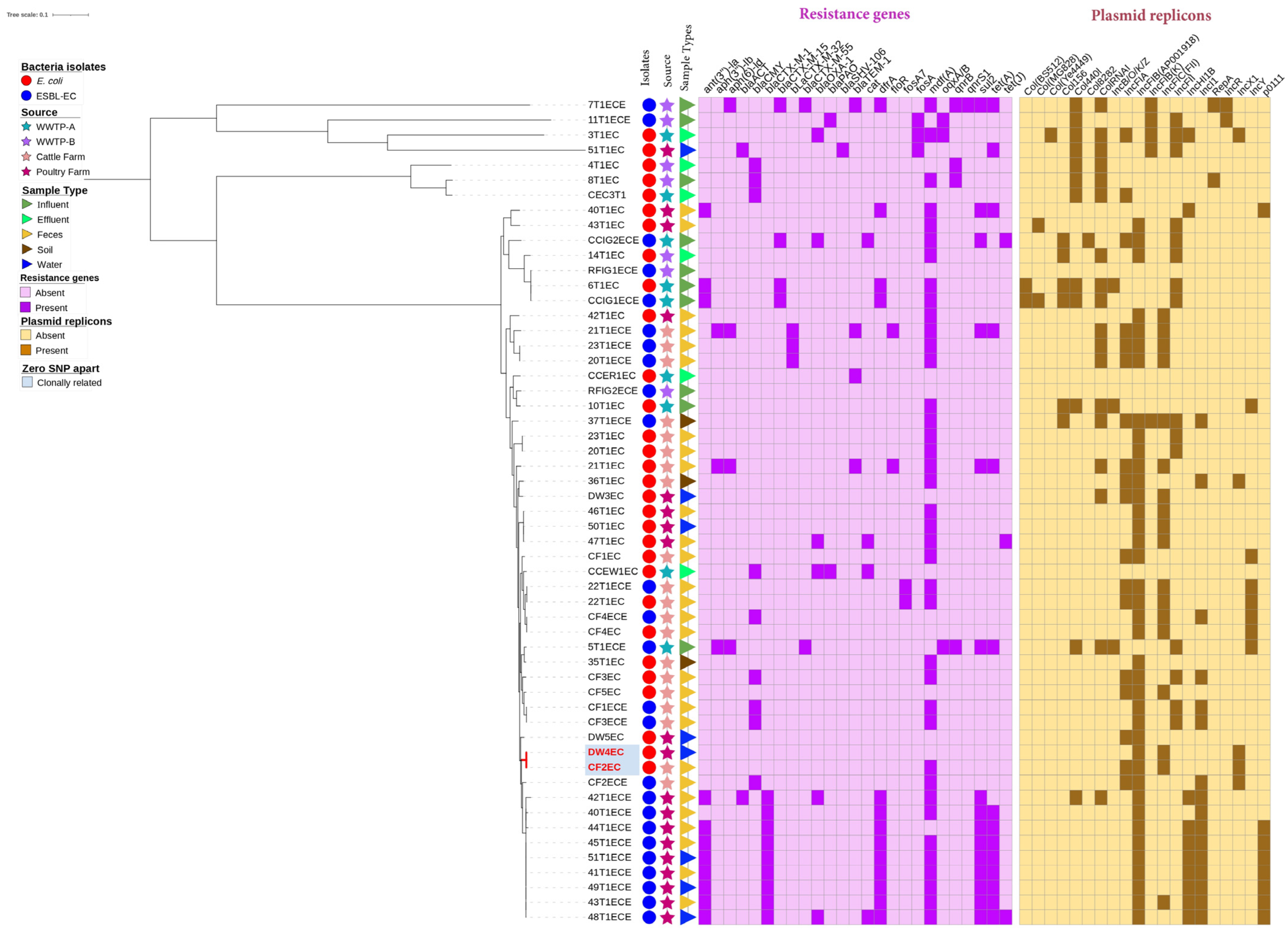 Vetsci 13 00138 g005