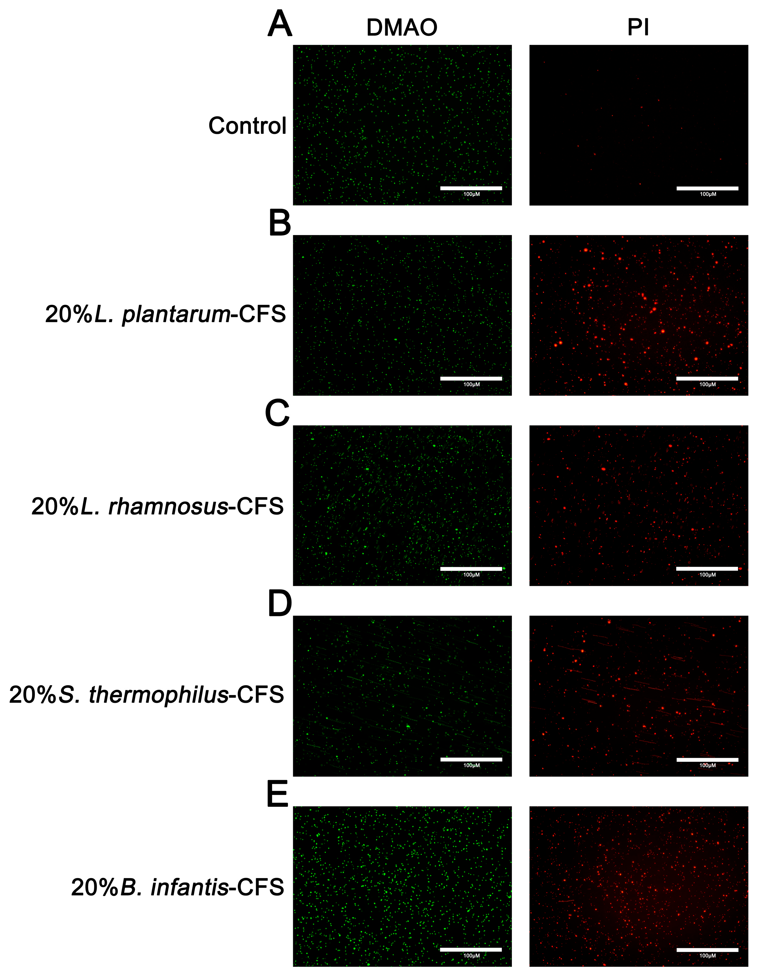 Vetsci 13 00139 g008