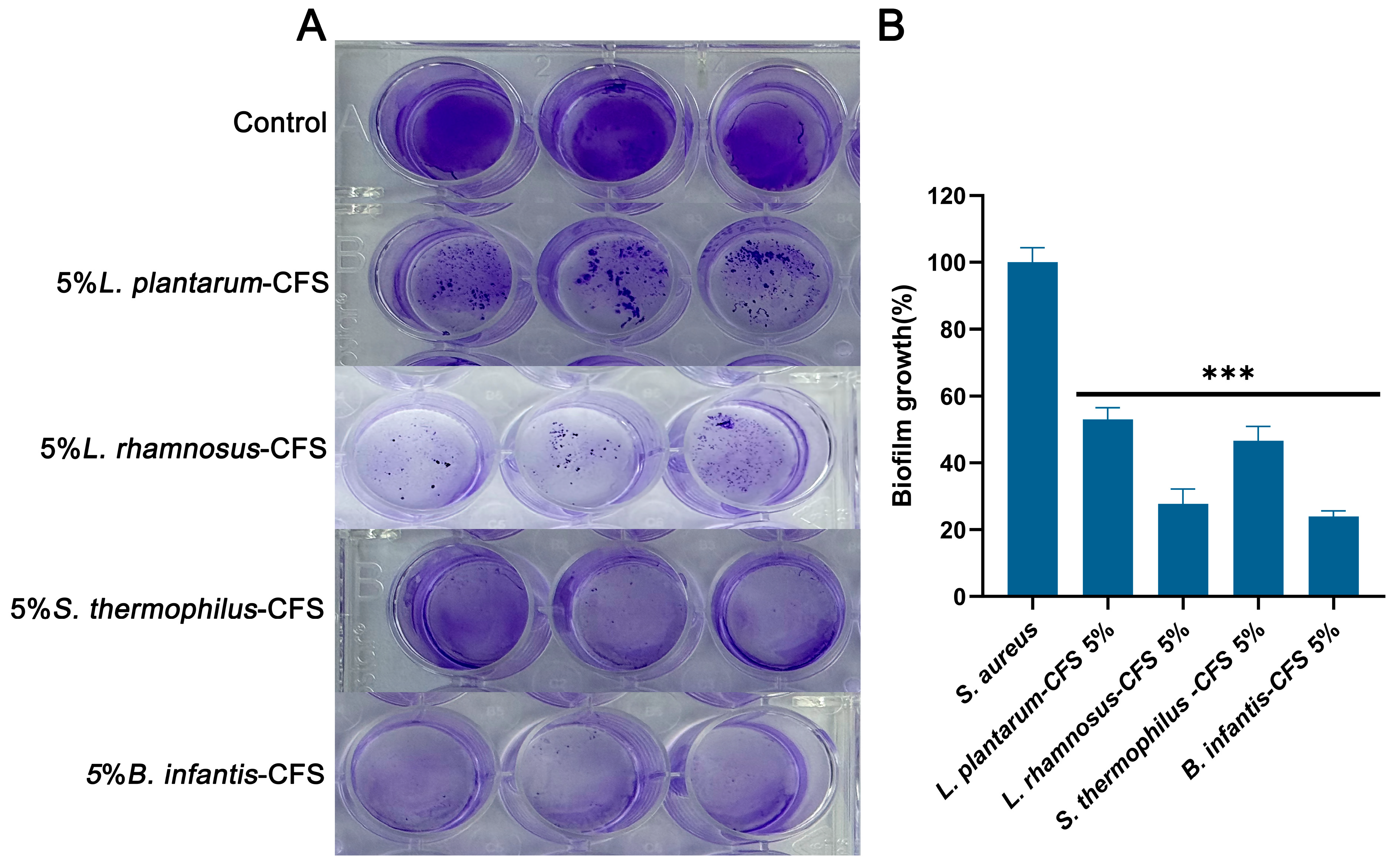 Vetsci 13 00139 g010