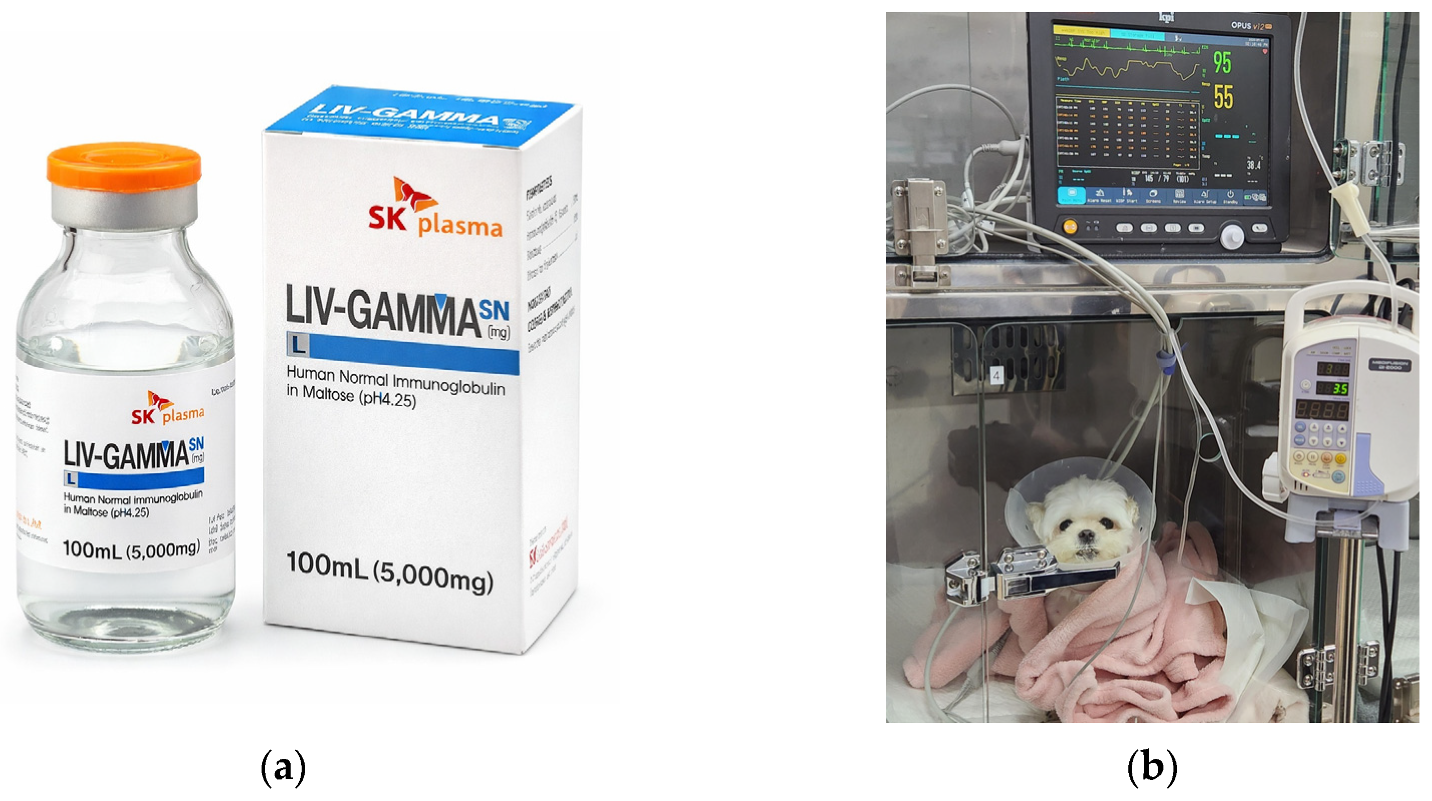 Vetsci 13 00145 g001 Vetsci 13 00145 g001