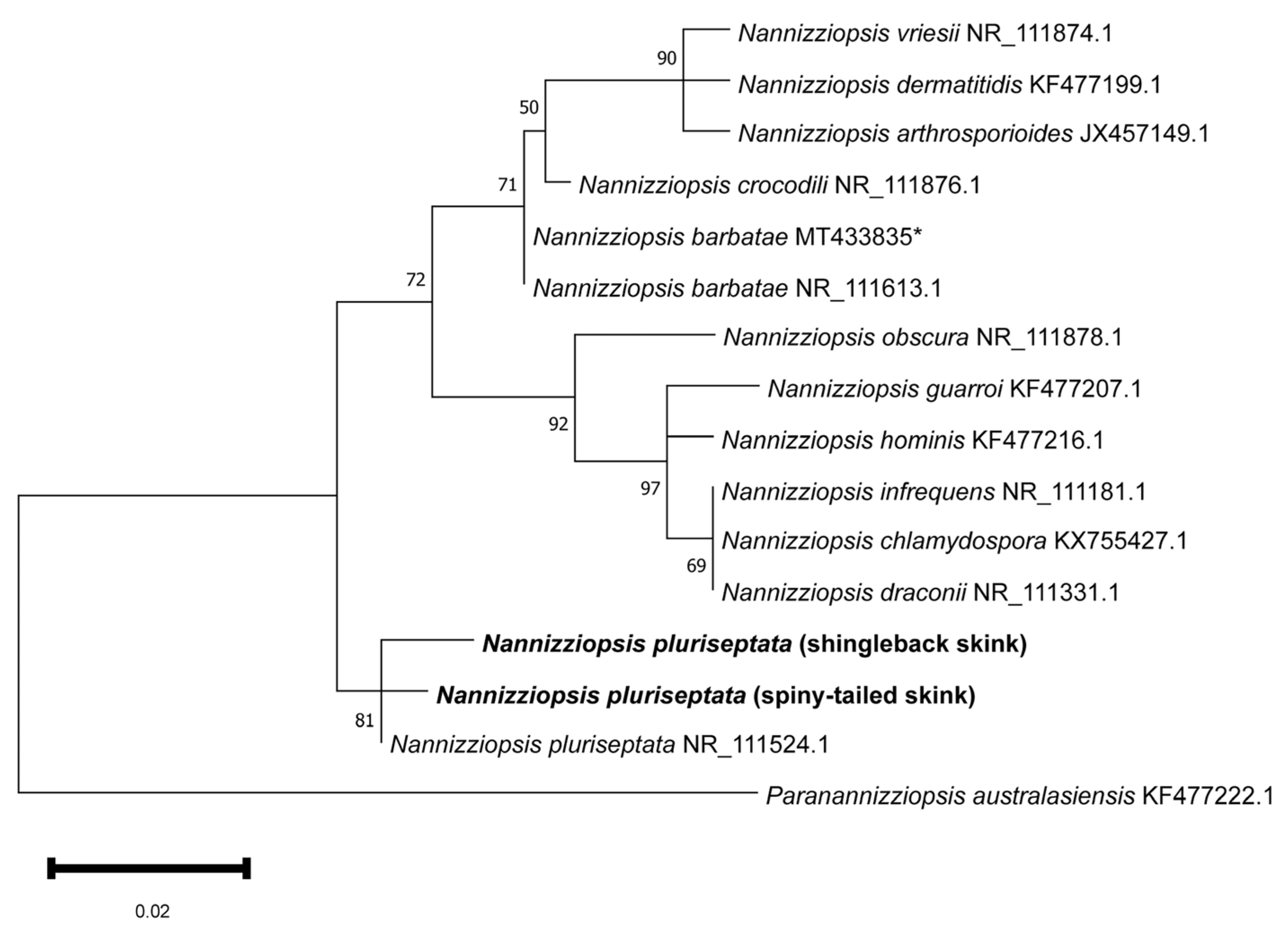 Vetsci 13 00162 g003
