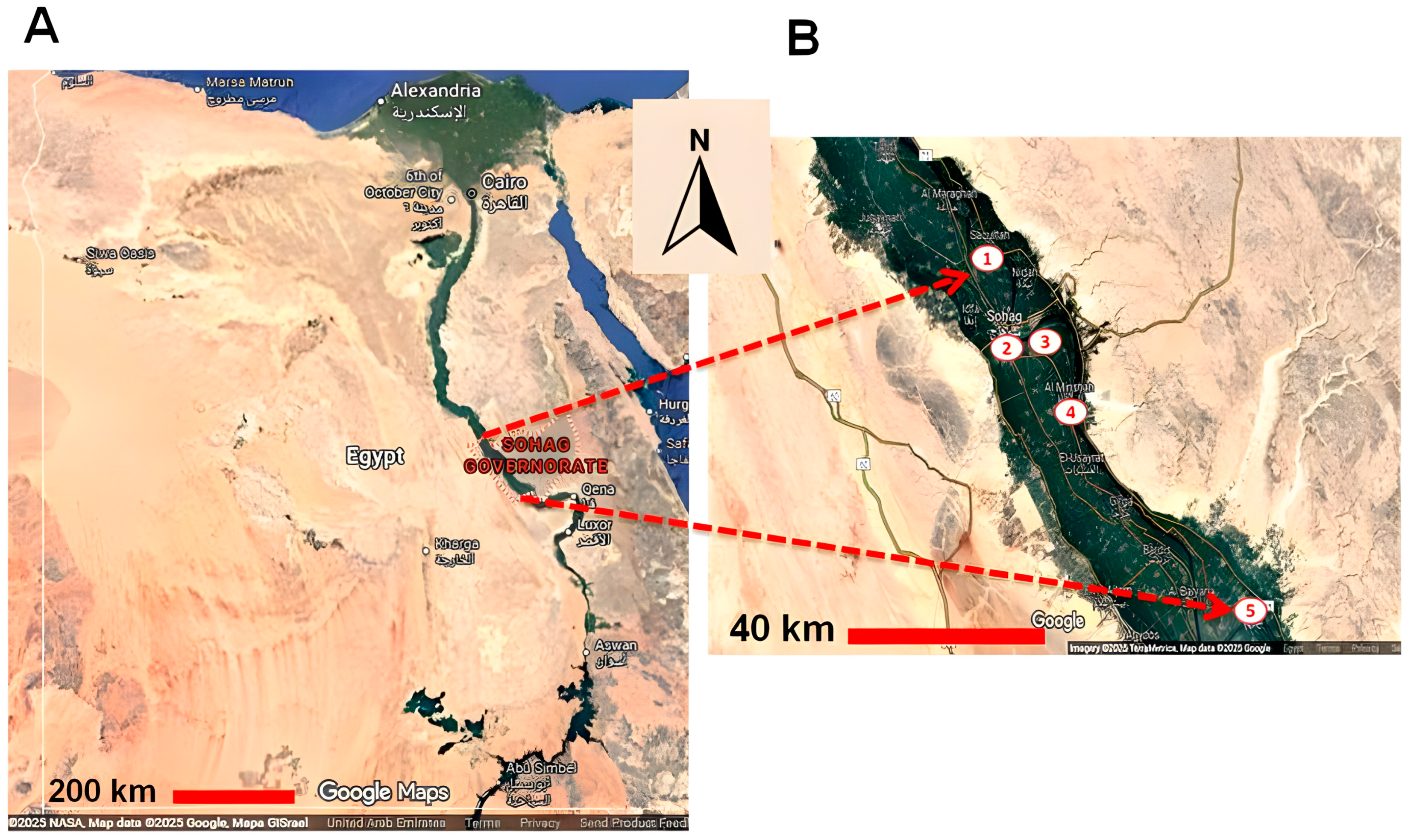 Vetsci 13 00166 g001