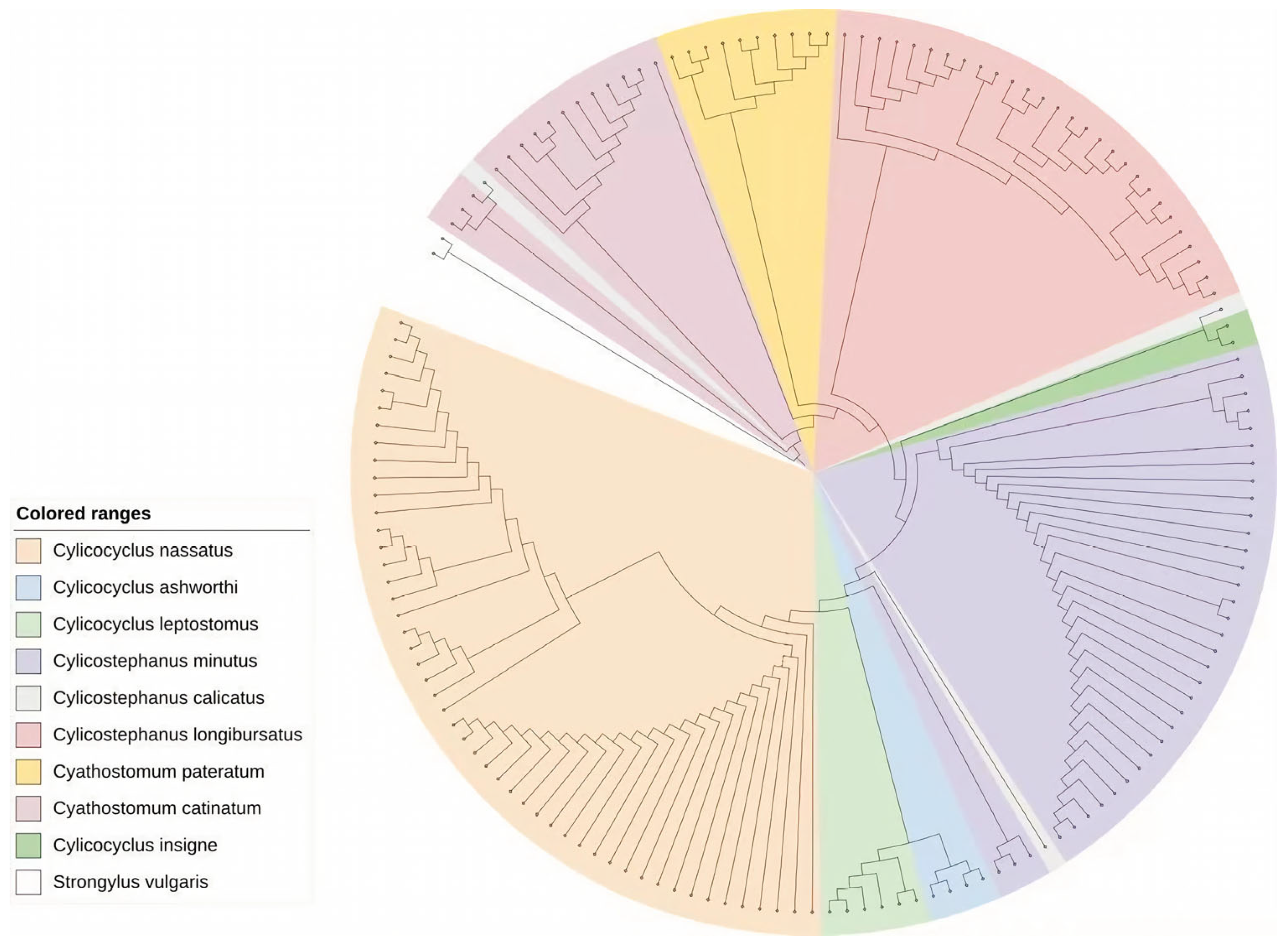 Vetsci 13 00169 g001