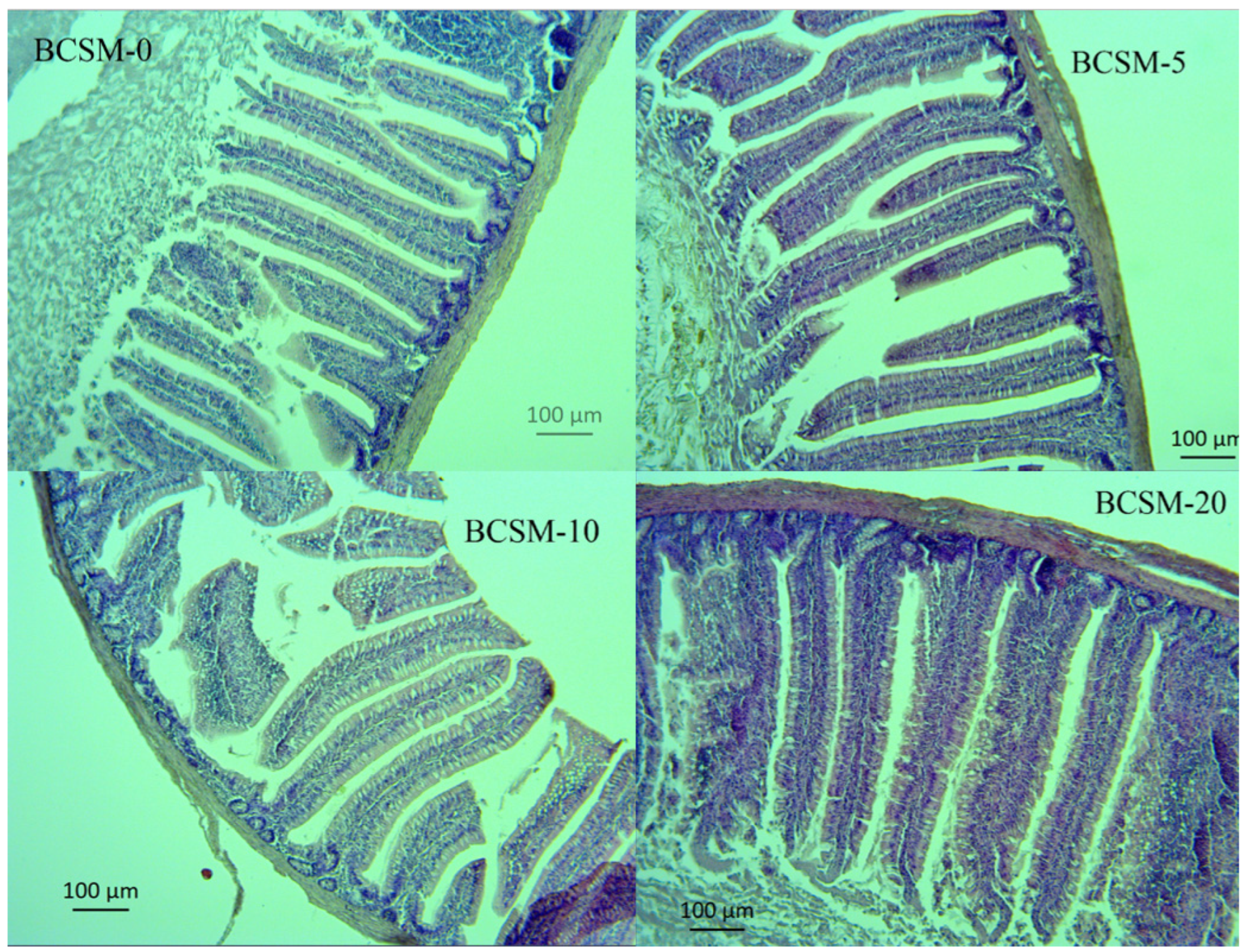 Vetsci 13 00188 g001 Vetsci 13 00188 g001