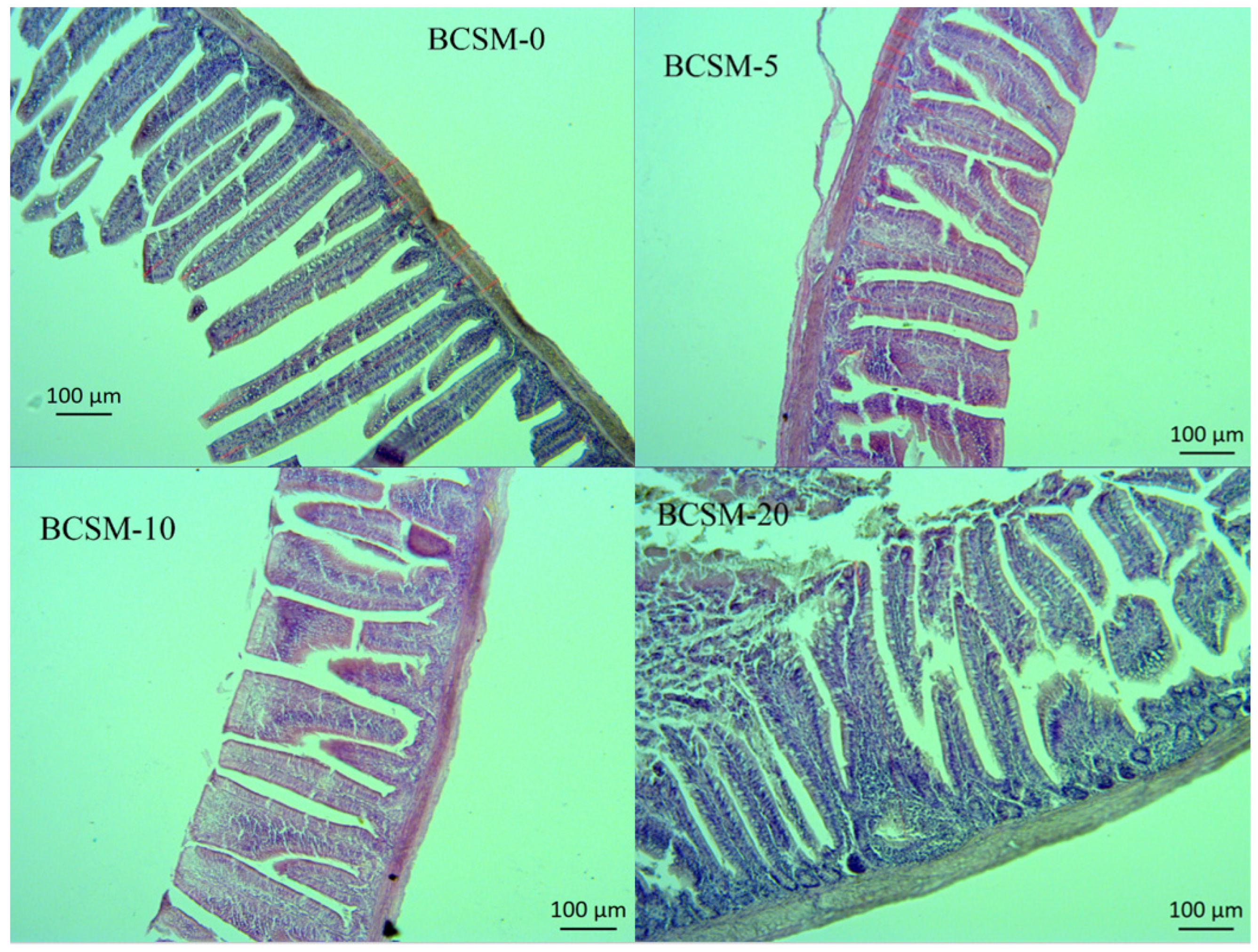 Vetsci 13 00188 g002 Vetsci 13 00188 g002