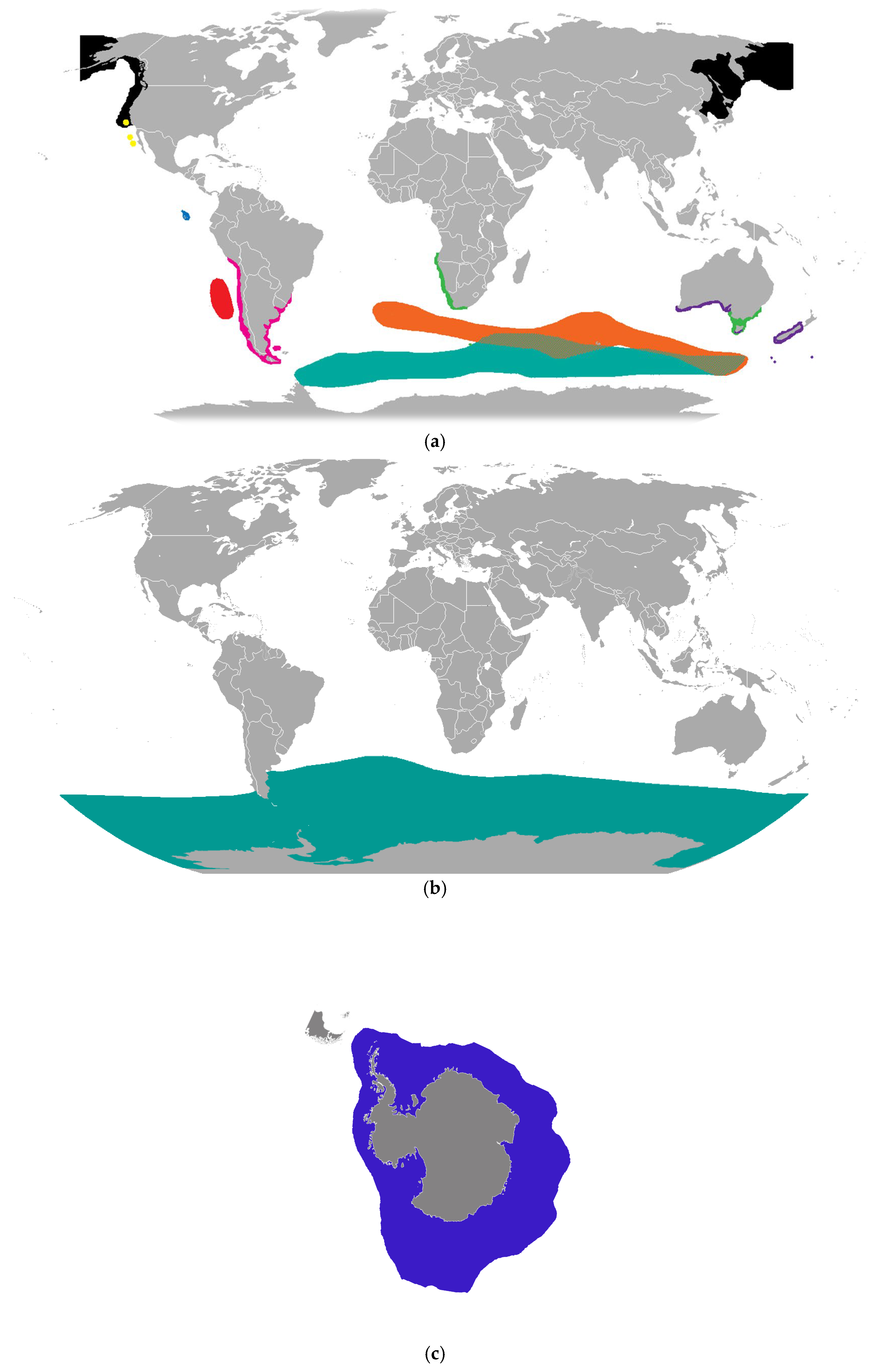 Vetsci 13 00200 g005a Vetsci 13 00200 g005a