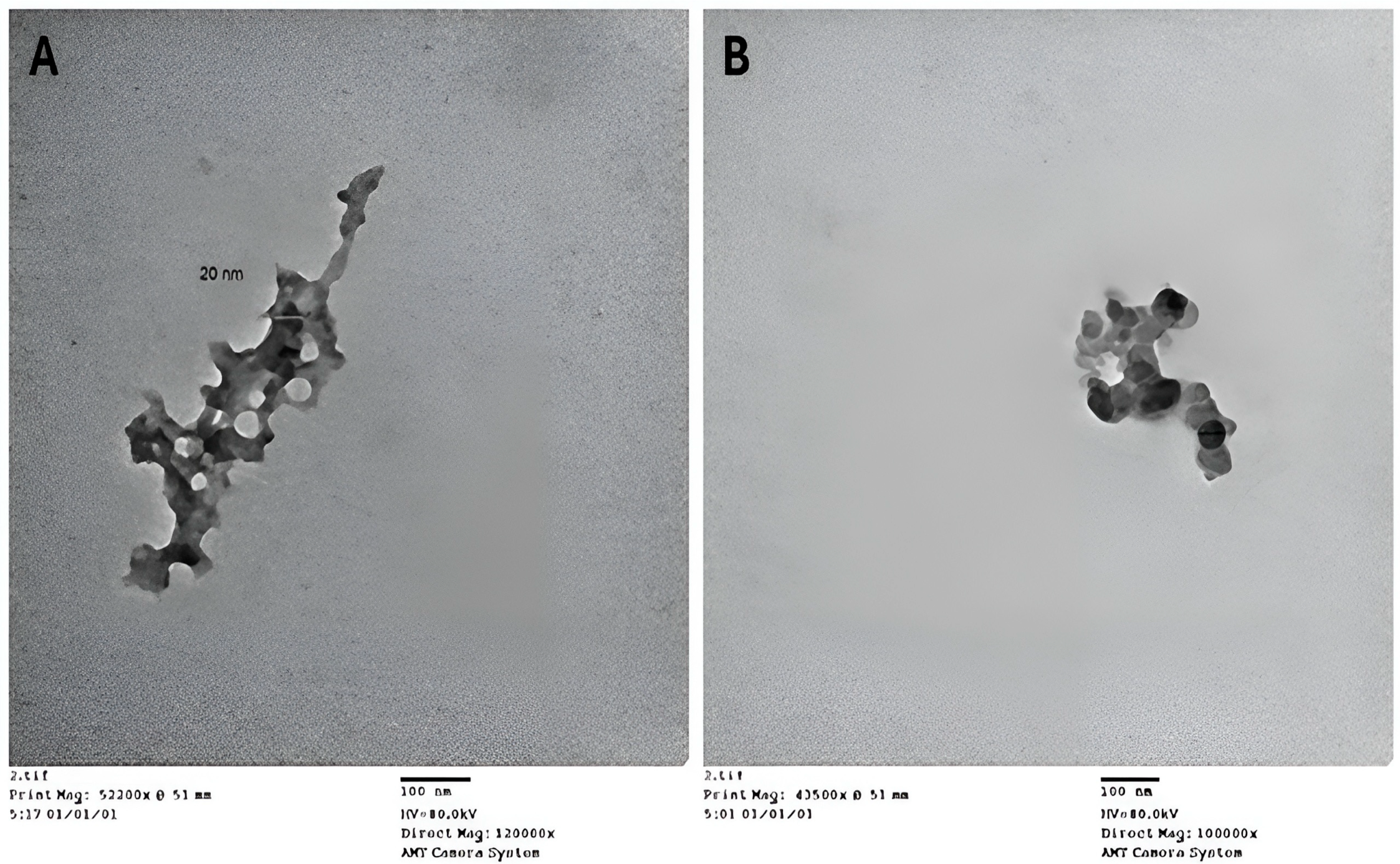 Vetsci 13 00207 g002 Vetsci 13 00207 g002