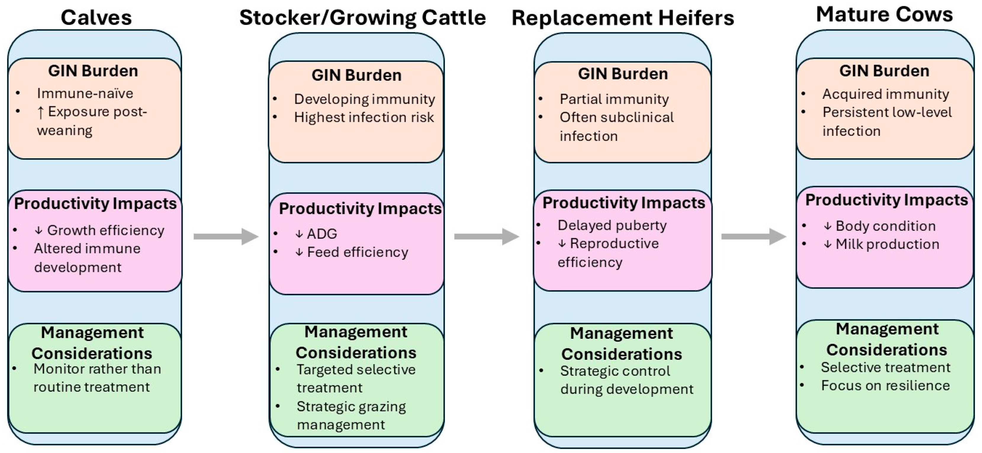 Vetsci 13 00210 g001 Vetsci 13 00210 g001