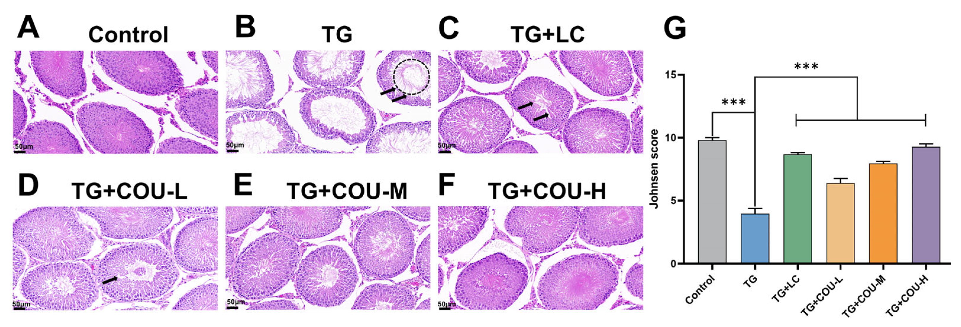 Vetsci 13 00224 g005 Vetsci 13 00224 g005