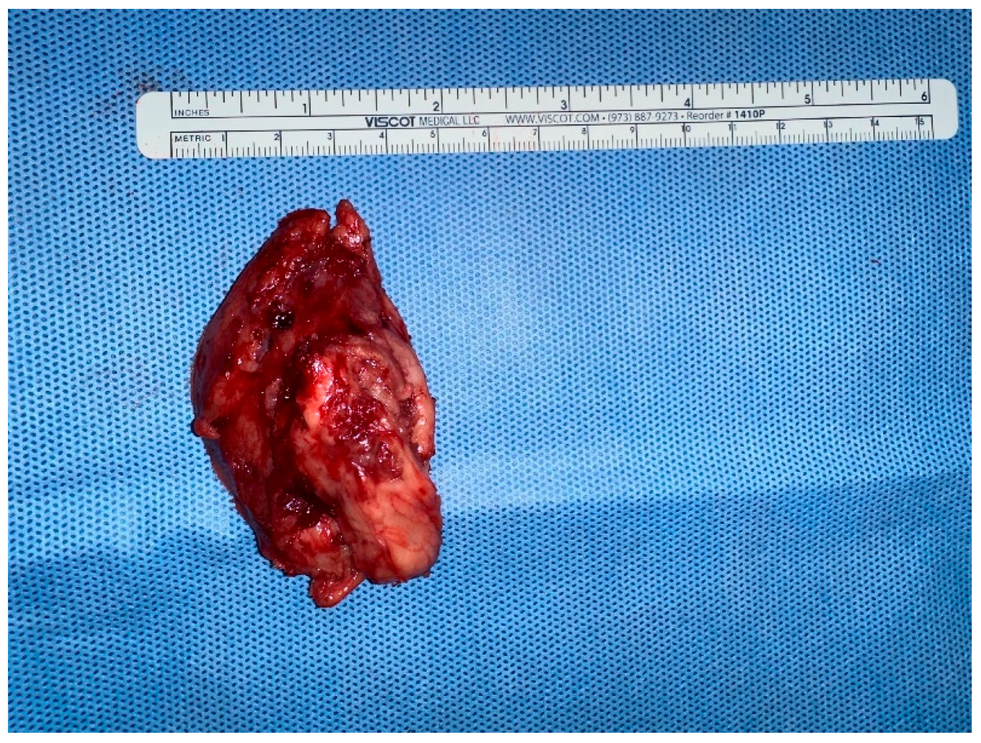 Vetsci 13 00232 g007 Vetsci 13 00232 g007