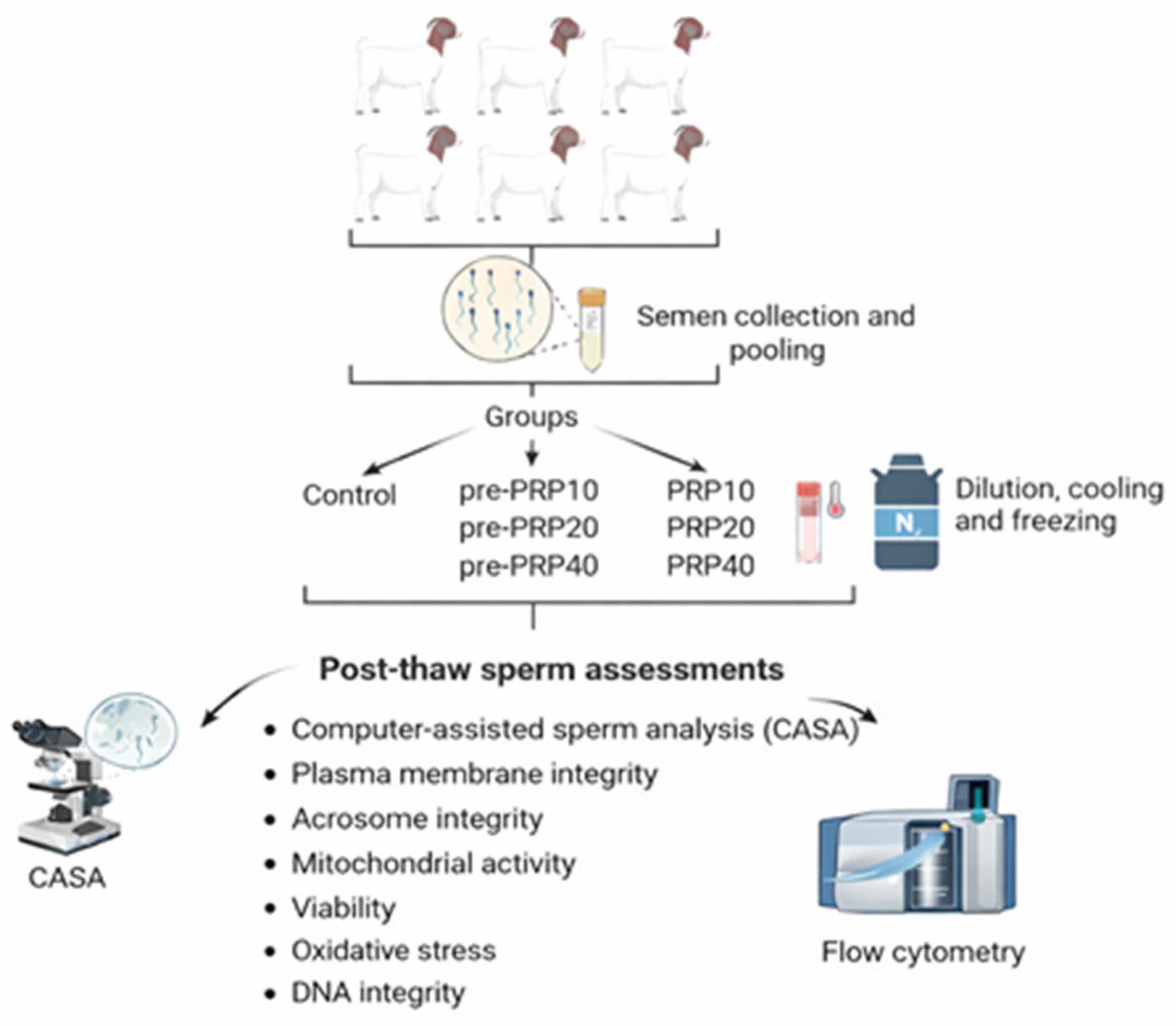Vetsci 13 00245 g001