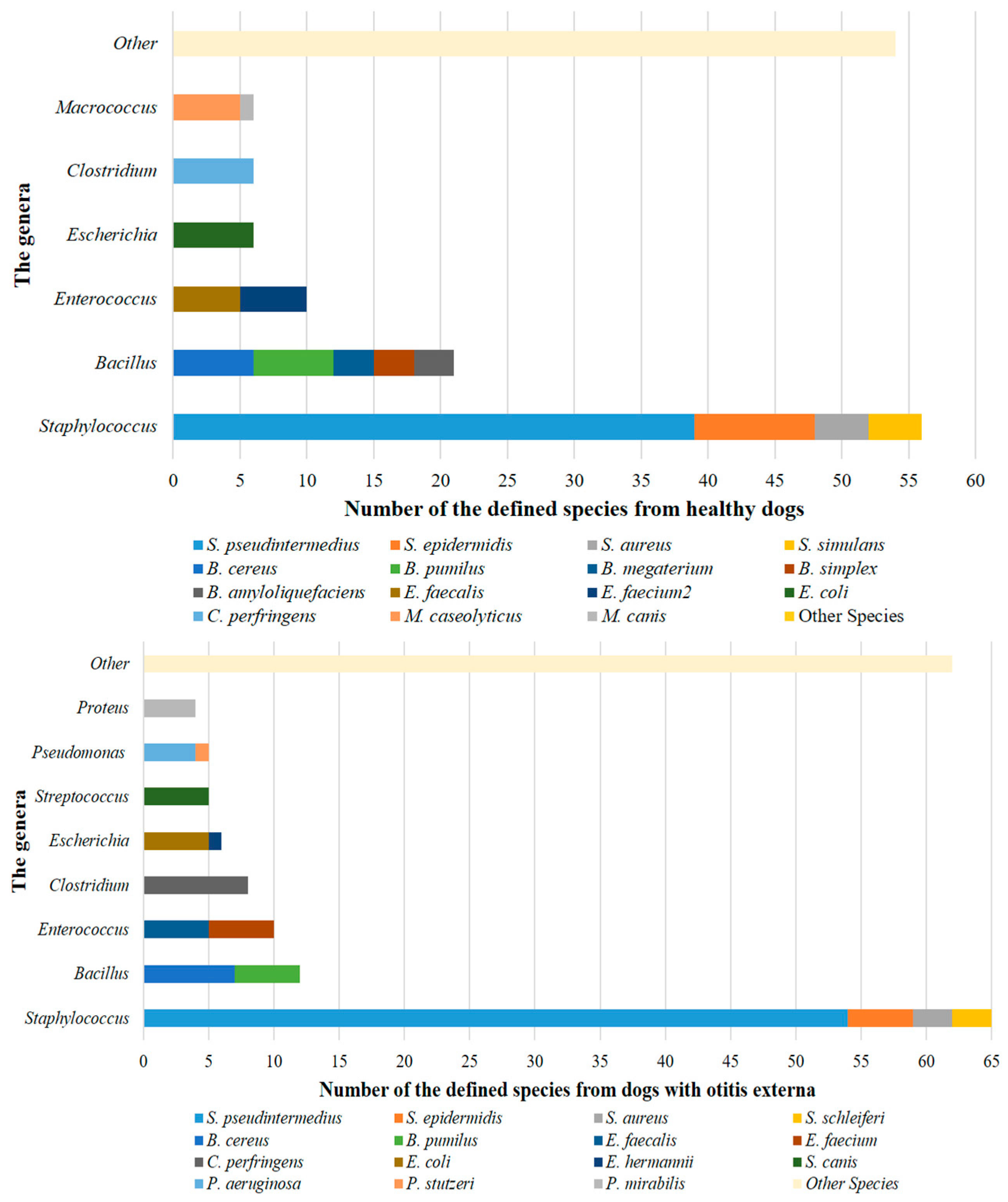 Vetsci 13 00250 g001