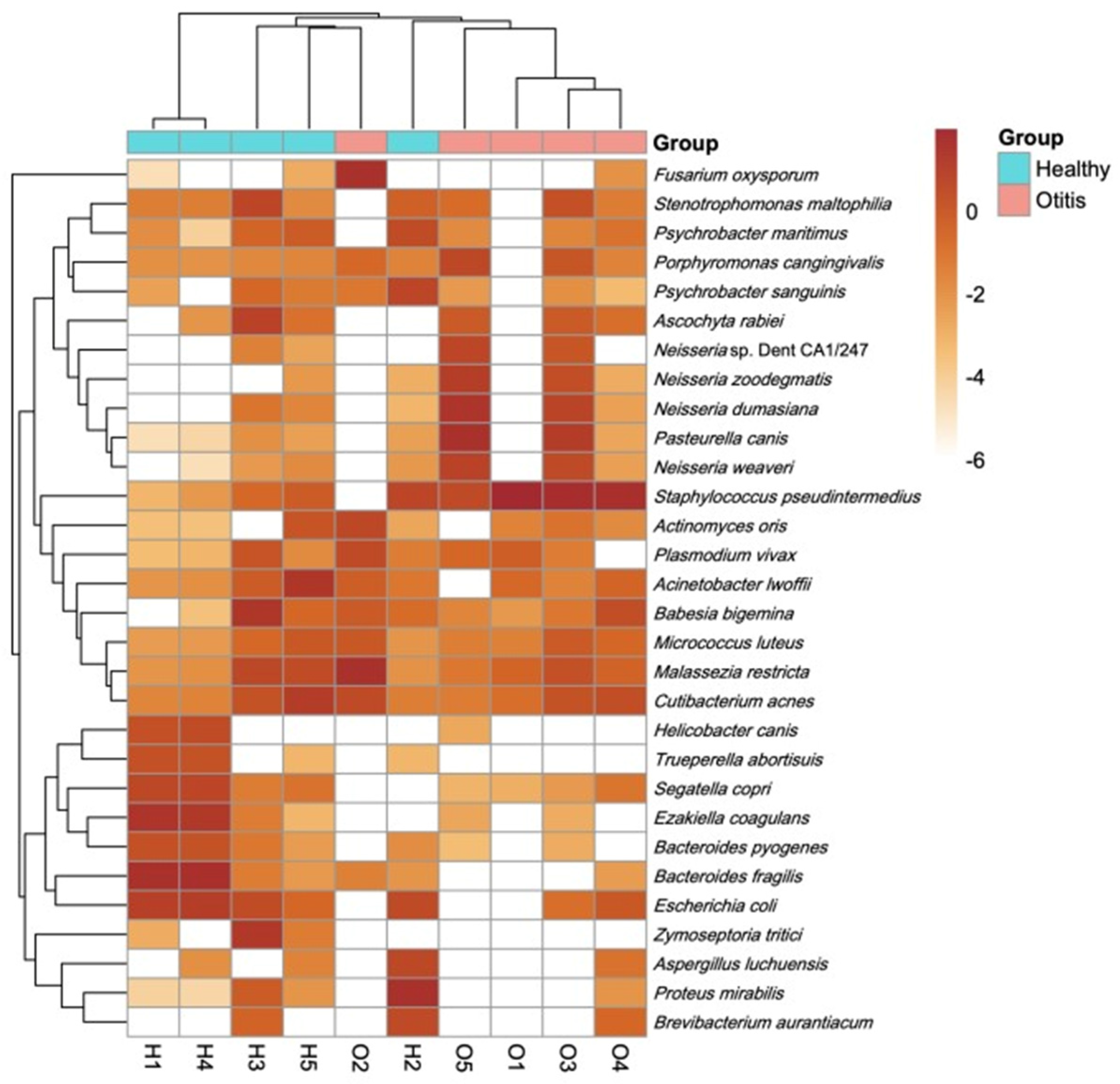 Vetsci 13 00250 g006