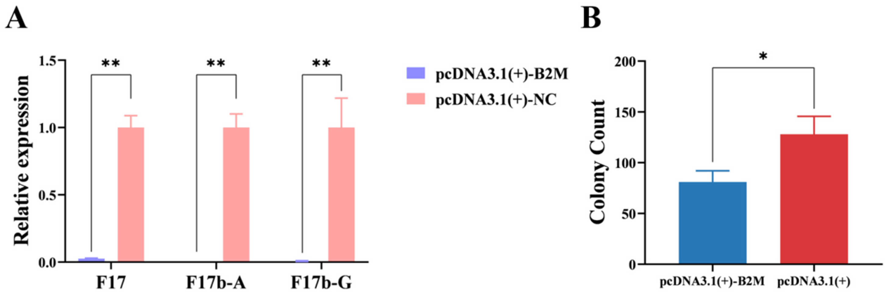 Vetsci 13 00252 g001