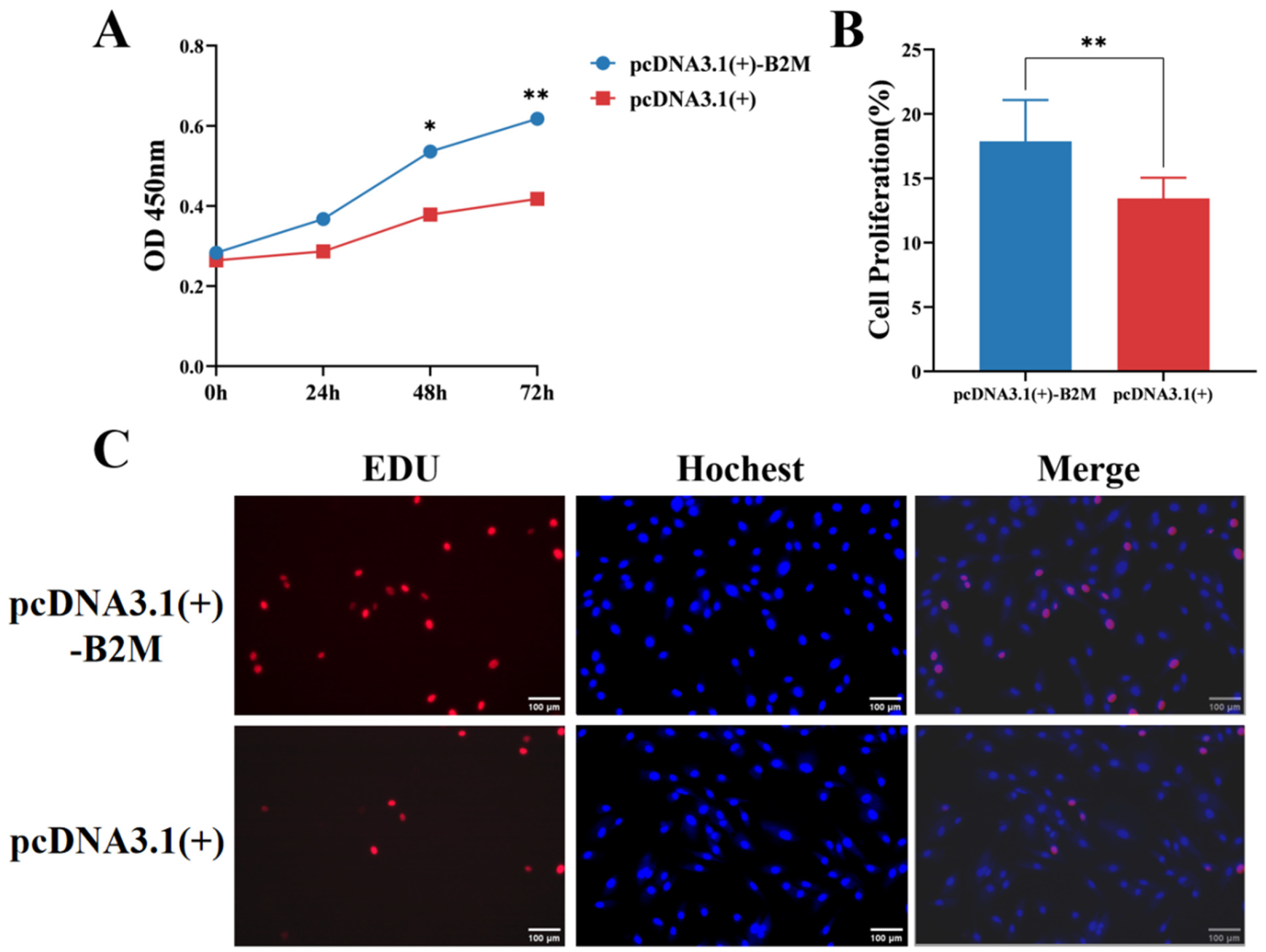 Vetsci 13 00252 g003