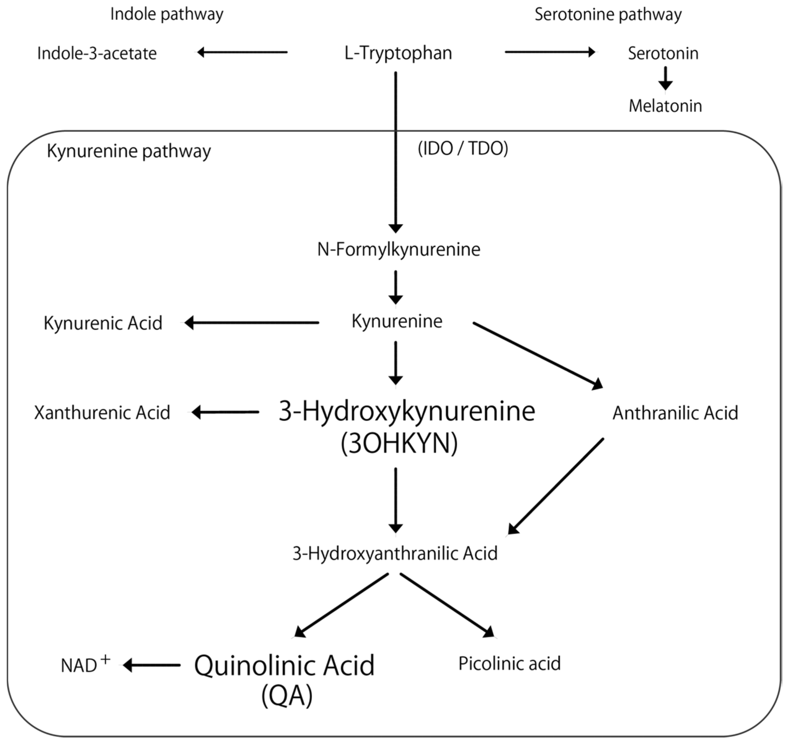 Vetsci 13 00308 g001