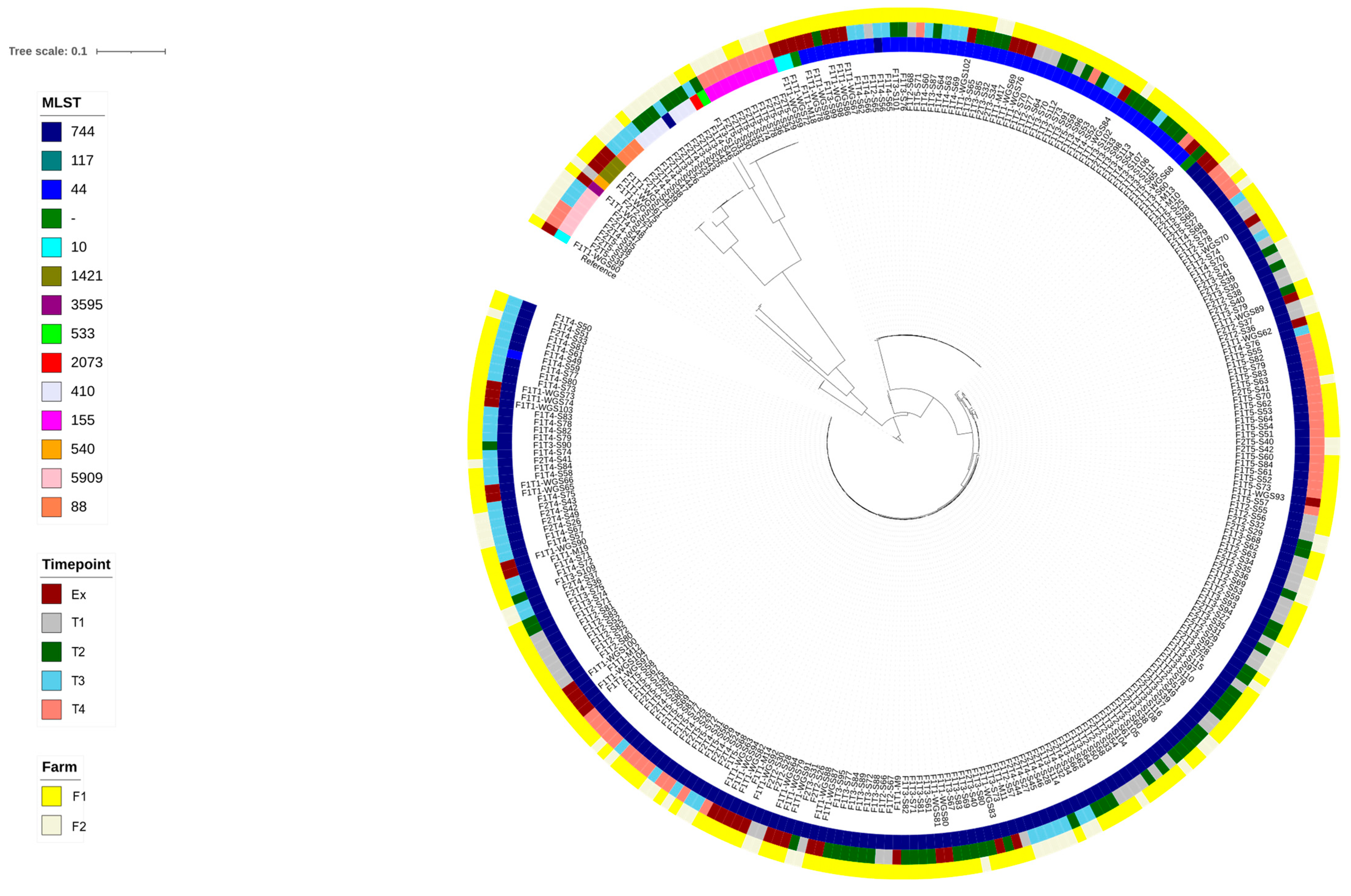 Vetsci 13 00309 g003