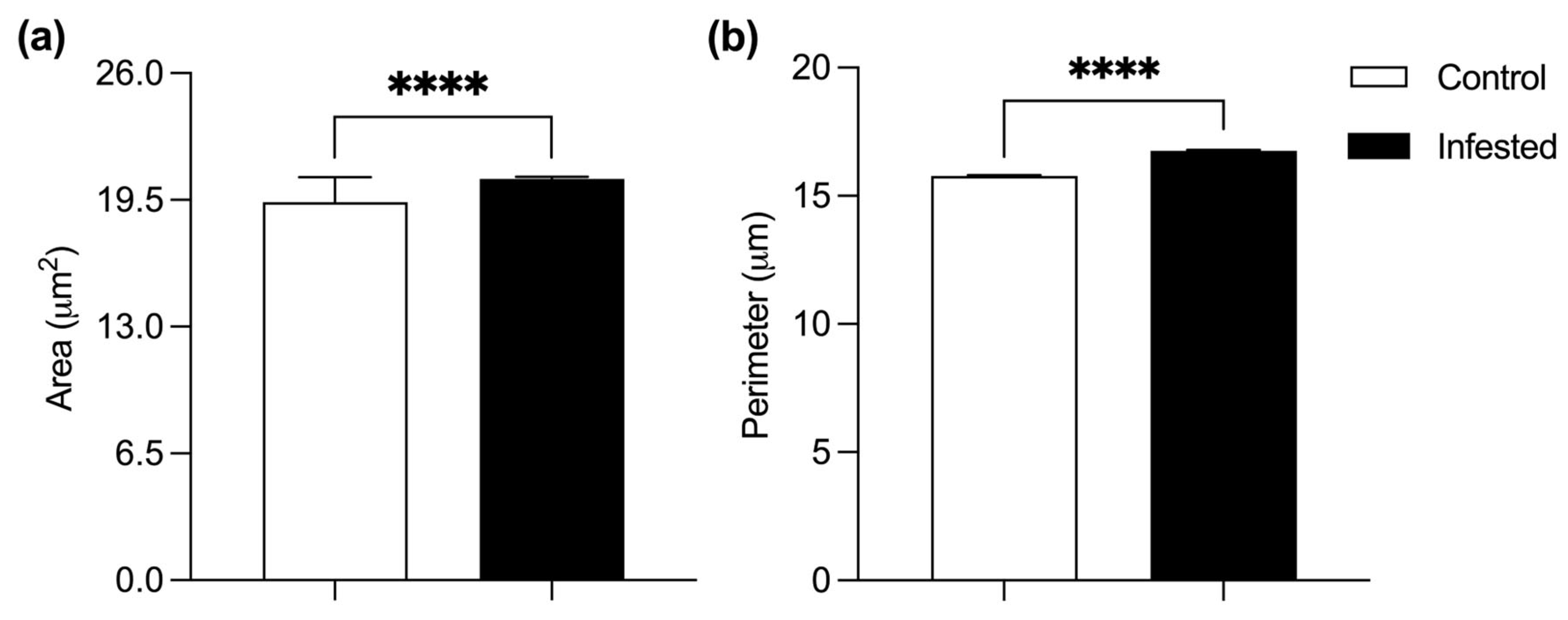 Vetsci 13 00392 g003 Vetsci 13 00392 g003
