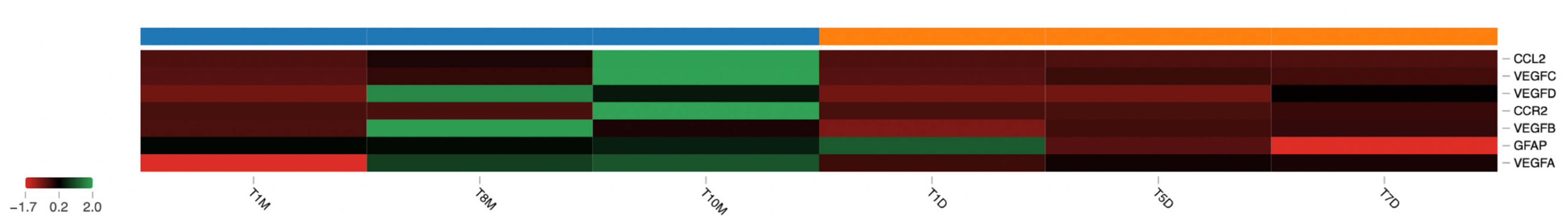 Vetsci 13 00460 g012 Vetsci 13 00460 g012